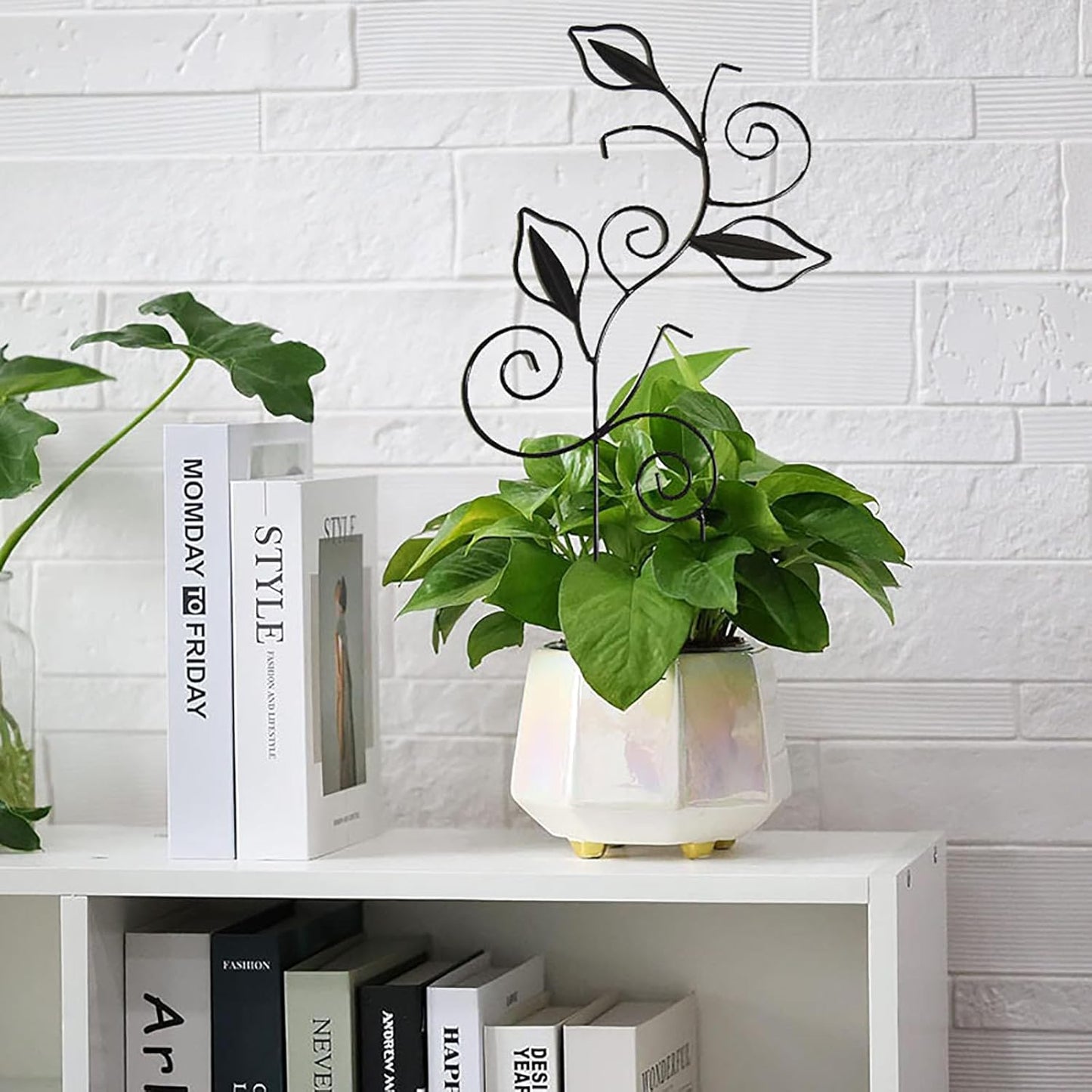 Decorative Metal Plant Trellis for Indoor Potted Plants – Leaf Shape Vine Support Stakes with 6 Plant Clips, Black/Green/Gold Garden Trellises for Climbing Plants, Vines (Black 1pc)