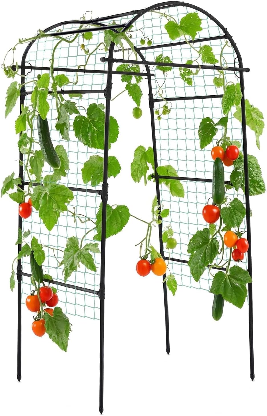 Lalahoni Garden Arch Trellis for Climbing Plants Outdoor, 80 Inch Tall Grape Trellis Metal Vine Plants Support Flower Vegetable Tomato, Cucumber Trellis for Raised Bed, Black
