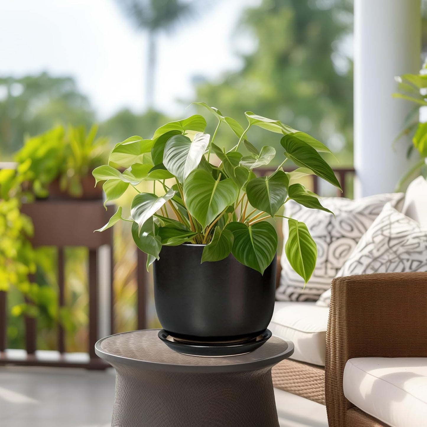 Ceramic Flower Pot 8 Inch - Modern Round Planter for Indoor Outdoor Plants with Drainage Hole and Saucer, Home House Room Office Patio Decor, Black