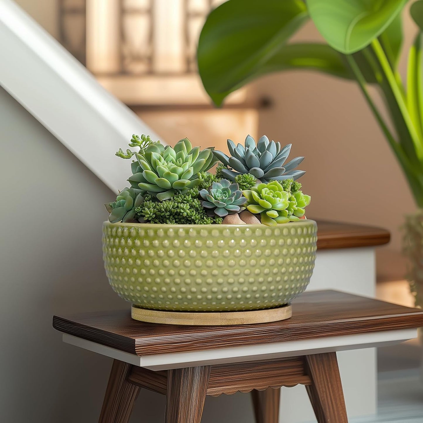 Bonsai Planter - 8 Inch Ceramic Succulent Pots with Drainage Hole and Saucer for Indoor Plants, Boho Shallow Round Planter Bowl, Desk Decor, Garden Lover Gifts, Green