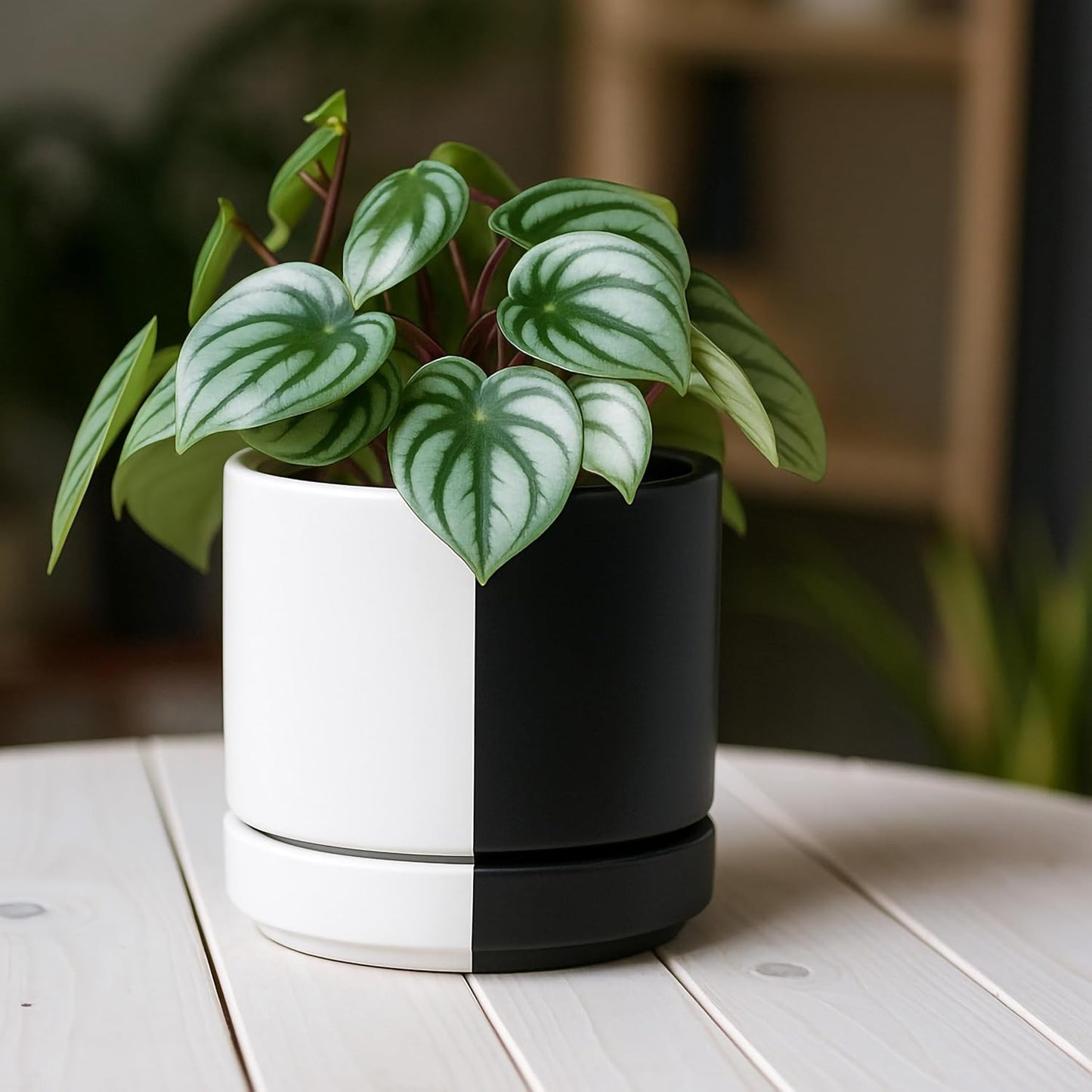 D'vine Dev 4.7 Inch Ceramic Planter Pot with Drainage Hole and Saucer, Indoor Cylinder Round Planter Pot, Split Monochrome Black & White, 94-O-B-0