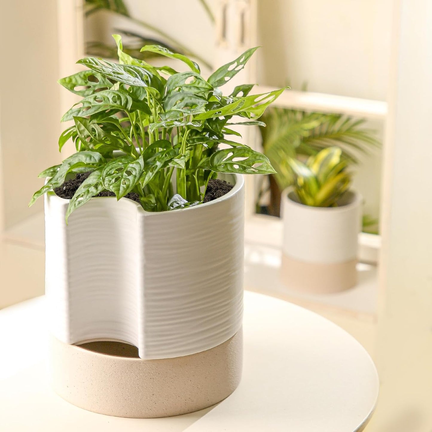 Nihow Self Watering Plant Pot: 8 Inch Ceramic Planter with Drainage Hole & Water Storage Plus for Indoor & Outdoor Plants - Cylinder Round Flower Pot for Succulent/Herbs/Violets - White & Brown