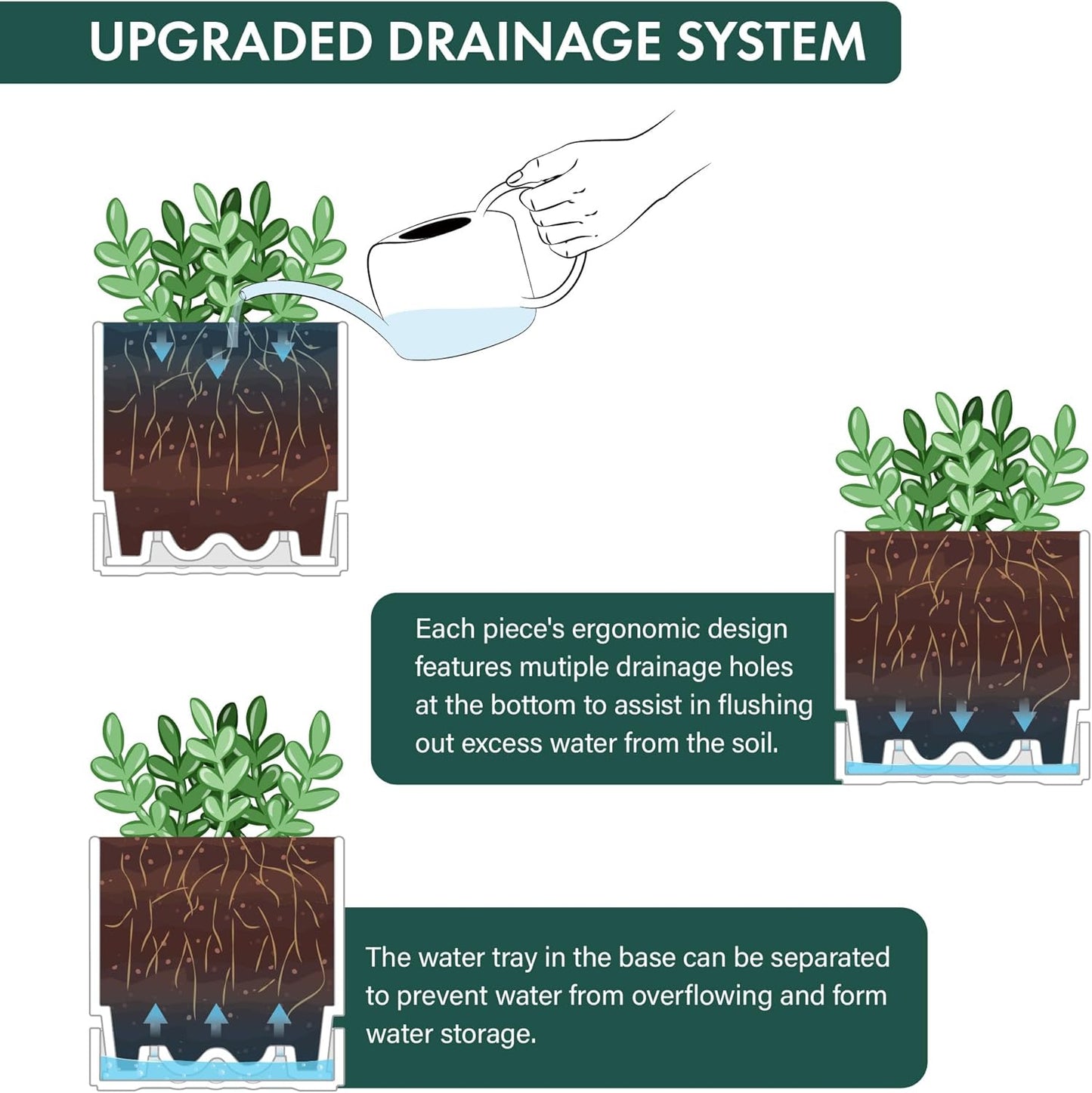 Phoenix Vine 6 Inch Planter Pot with Drainage Hole & Saucer, Deep Water Catch Tray, Straight Cylindrical Round Pot for Plants, Matte White, Pack of 3, 23-B-S-3