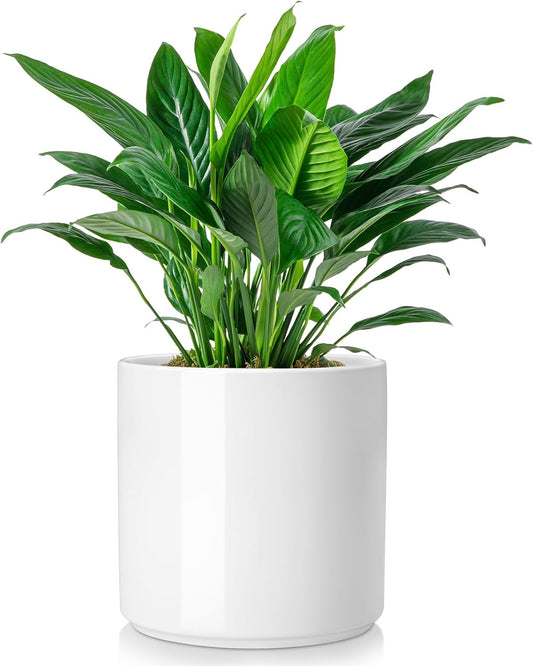 vancasso 8 Inch Ceramic Pot for Plants, Round Outdoor Indoor Planter Pots with Drainage Holes, White
