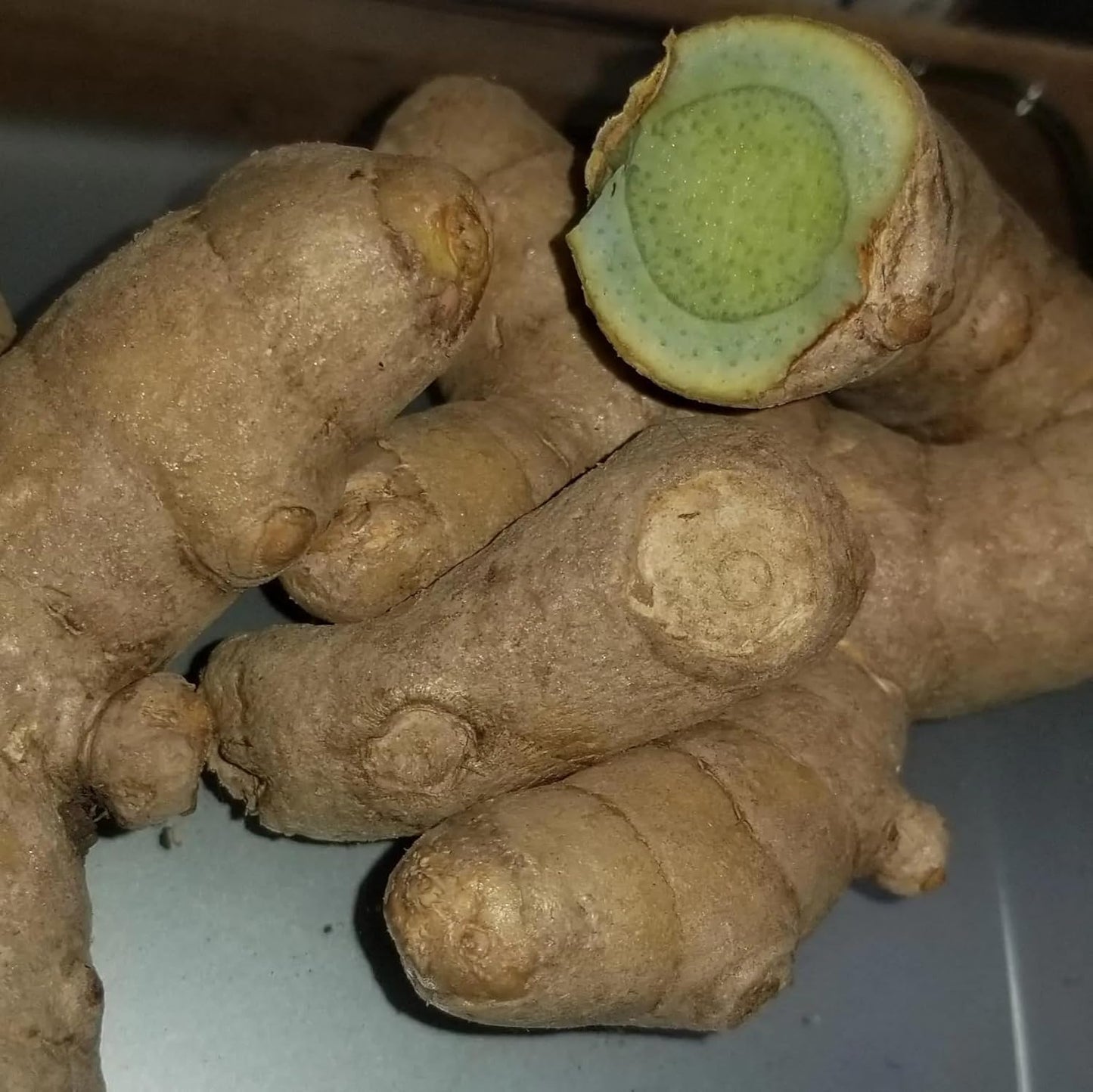 Green Turmeric Live Plant - (Curcuma aeruginosa) - Rare Medicinal Herb, Vibrant Pink Flowers, Ideal for Tropical Gardens (4 Green Turmeric Cups)