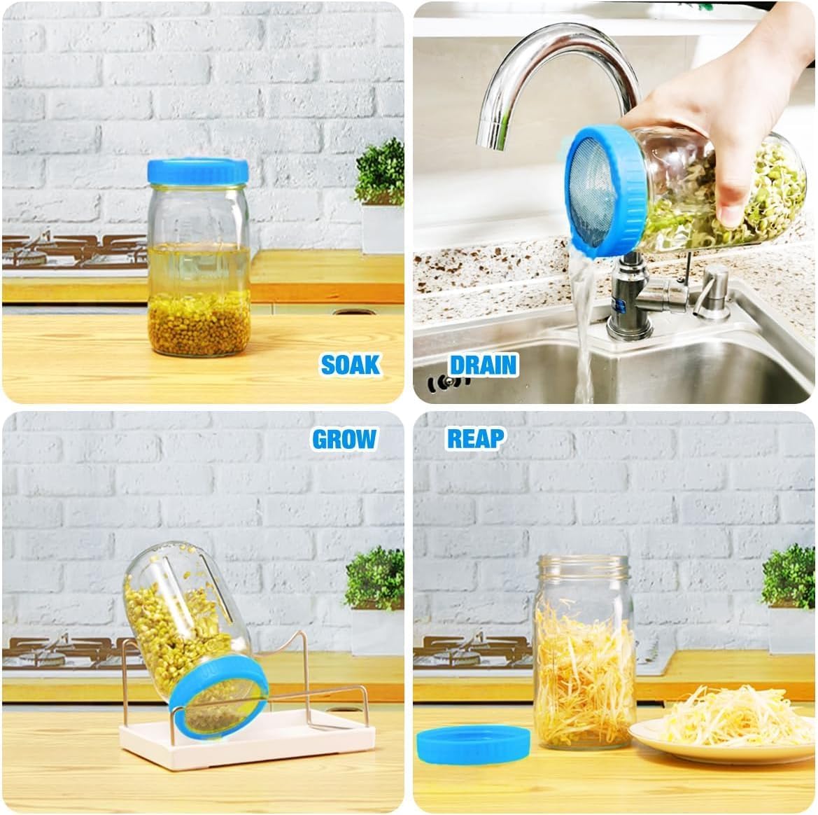 Organic Seed Sprouting Jar Kit – 2 × 32 oz Wide-Mouth Mason Jars with Stainless-Steel Sprouter Lids & Stand, Blackout Sleeves, Drain Tray – Grow Broccoli, Alfalfa & Bean Microgreens