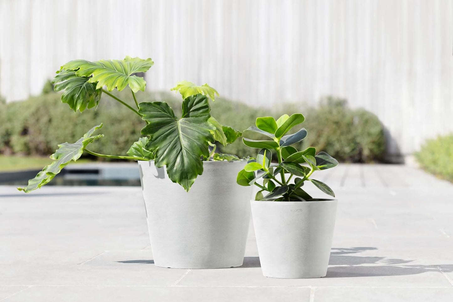 Ecopots Amsterdam Durable Modern Round Indoor/Outdoor Recycled-Based Composite Flower Pot Planter, Pure White, 8"