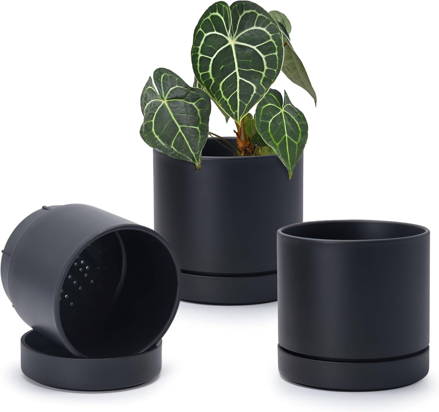 Phoenix Vine 6 Inch Planter Pot with Drainage Hole & Saucer, Deep Water Catch Tray, Straight Cylindrical Round Pot for Plants, Matte Black, Pack of 3, 23-C-S-3