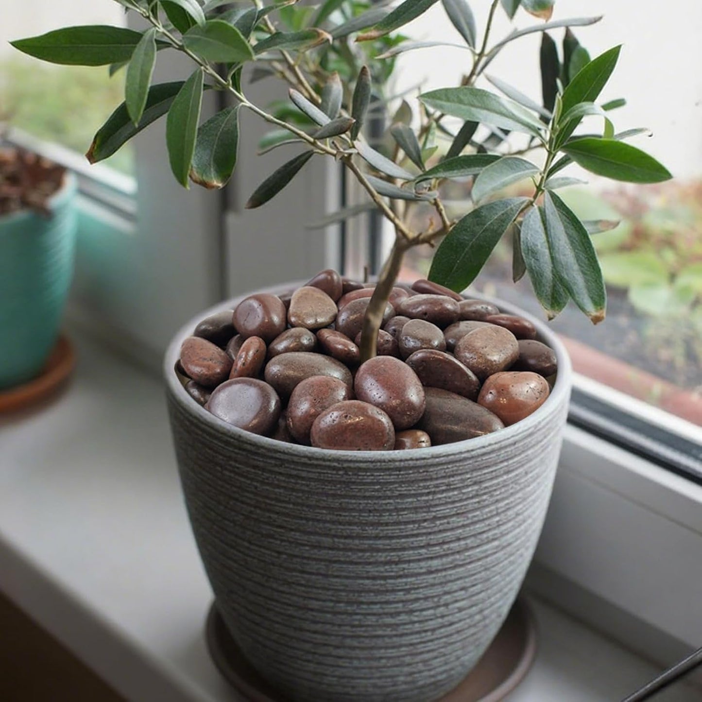 10 lbs Red River Rocks, 1-2 Inch Polished Pebbles for Indoor Plants, Decorative Rocks Stones for Landscaping, Vases, Aquariums, Fountains, Pathways, Backyard and Garden