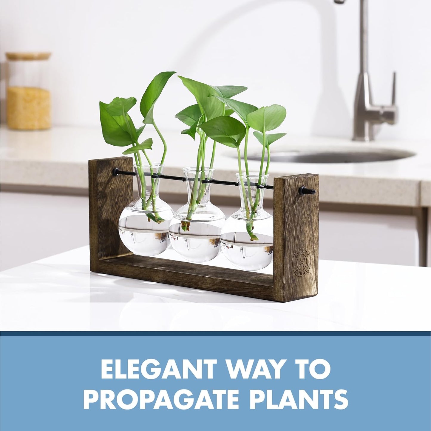 Garden Republic Plant Propagation Station, Wooden Stand with Propagation Tubes, Hanging Plant Glass Tubes Station, Elegant Home Decor, Easy Water Changes, Bamboo Color