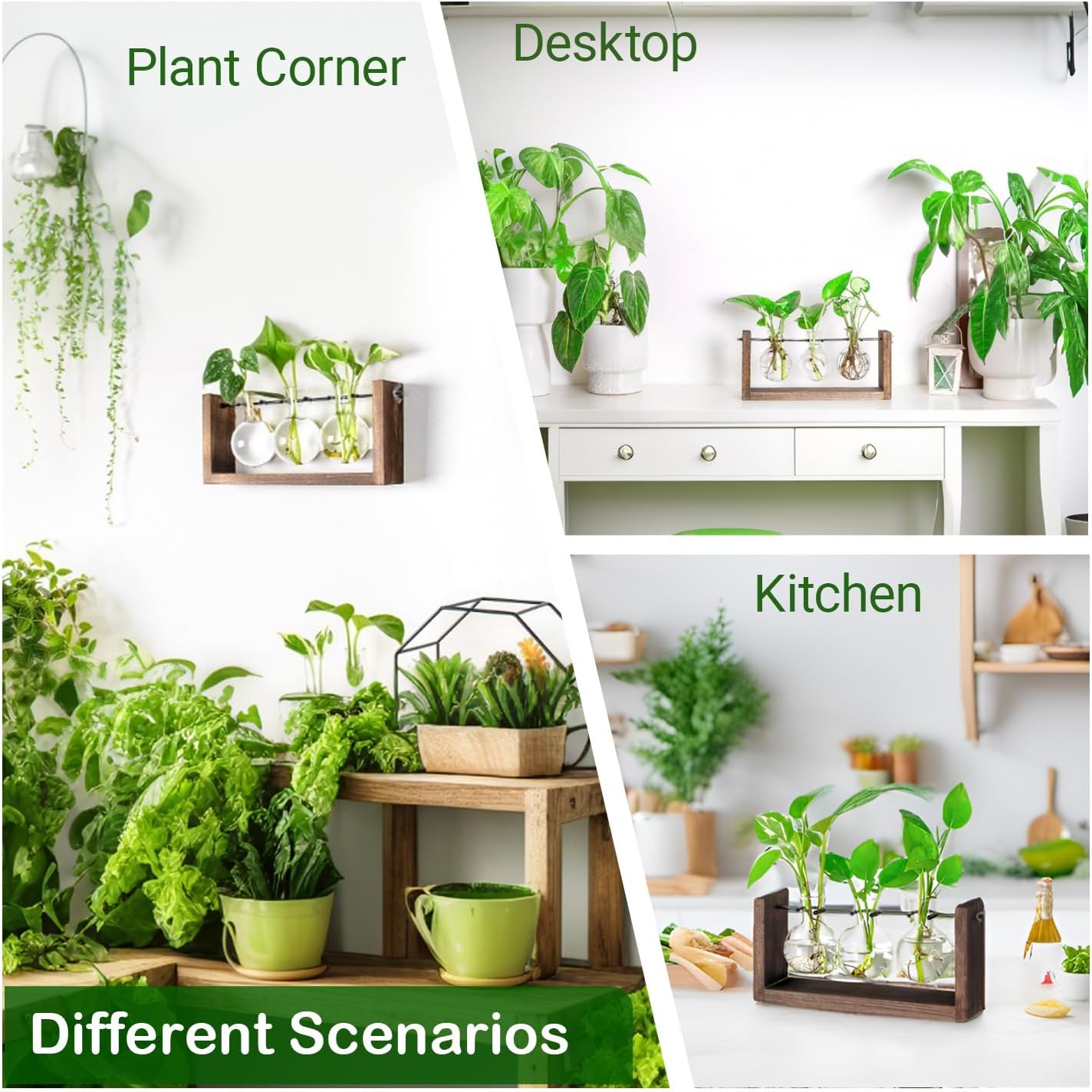 Ivolador Wall Hanging Plant Propagation Station,Bulb Plant Terrarium with Wooden Stand,Unique Gardening Gifts for Women Plant Lovers,Hydroponic Indoor Planter Home Office Decor-3 Bulb Glass Vases