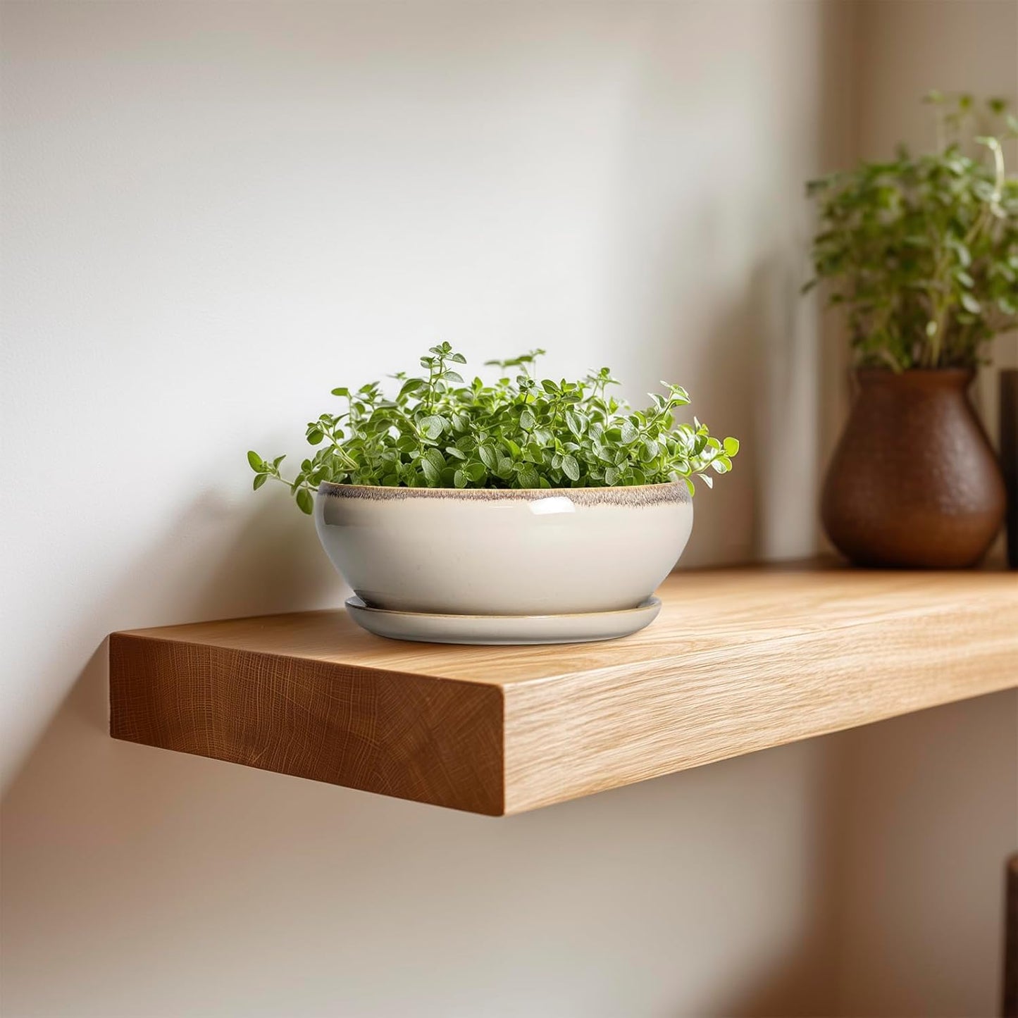 SQOWL Small Bonsai Pots - 6 Inch Ceramic Plant Pots for Succulents, Shallow Planter with Drainage Hole and Saucer, Round Planters for Indoor Outdoor Cactus Plants, House Decor, Birthday Gifts, Beige