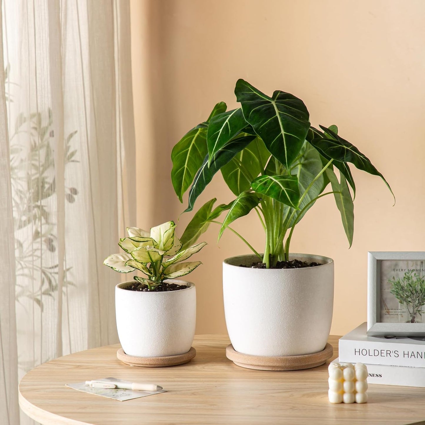 Ceramic Flower Pots Indoor-Outdoor: 5.75 Inch Planters with Drainage Holes & Saucer - Modern Decorative Plant Pots Ceramic for Home Gardeners (White)