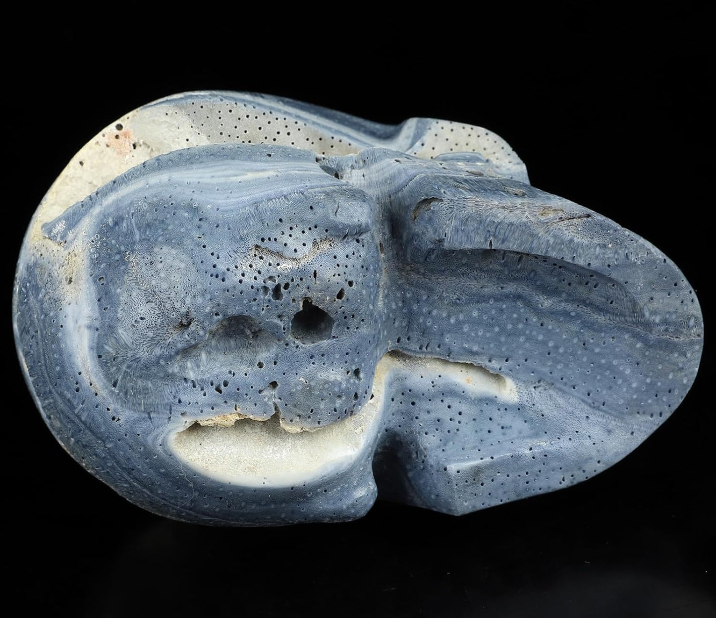 Skullis 5.0" Blue Sponge Coral Realistic Crystal Skull, Hand Carved Gemstone Fine Art Sculpture, Reiki Healing Stone Statue.2898