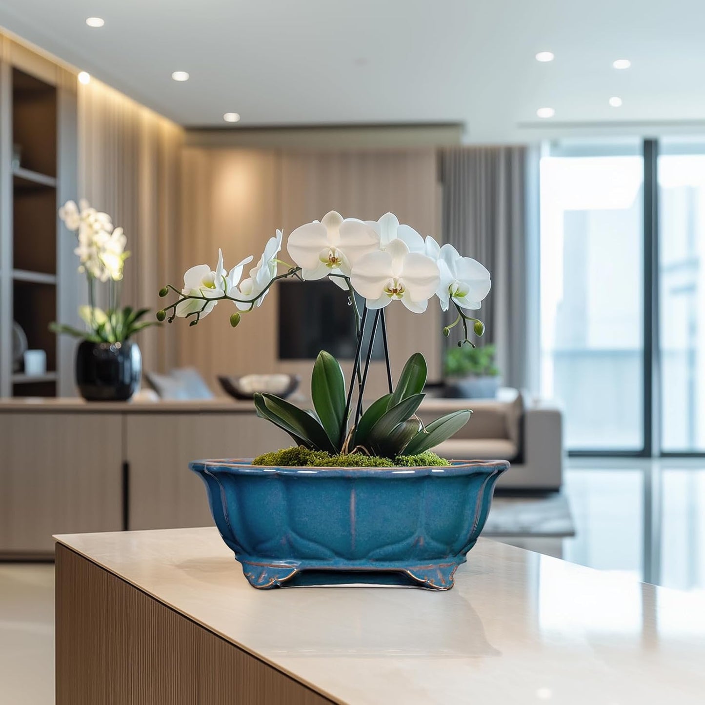 Bonsai Tree Pot - 11 Inch Ceramic Succulent Pots, Bonsai Planter for Indoor Outdoor, Decorative Plant Pot with Drainage Hole, Oval Flower Pot, Home Garden Decor, Garden Gifts, Retro Blue