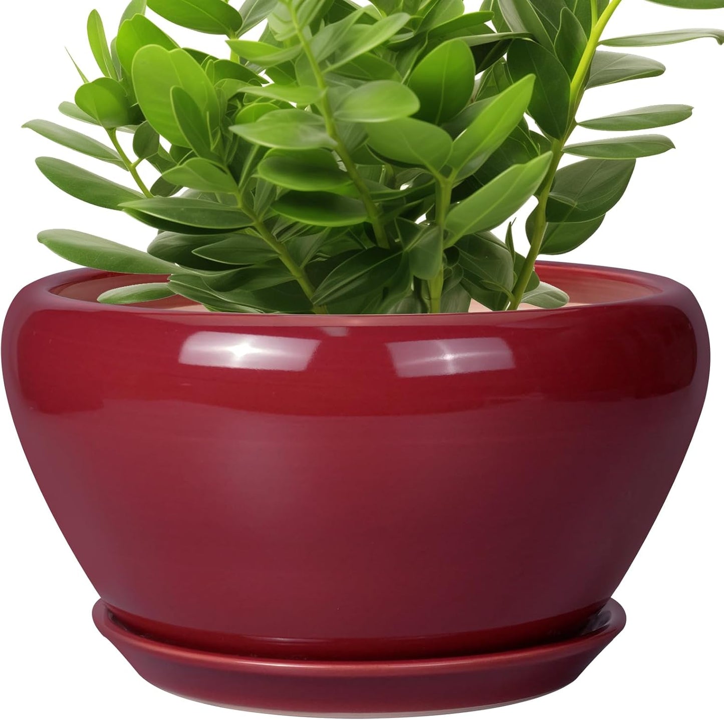 Ceramic Planter - 11 Inch Planter for Outdoor Plants Large Plant Pot Indoor with Drainage Hole and Saucer Round Modern Flower Pot Mid-Century Room Decor Red
