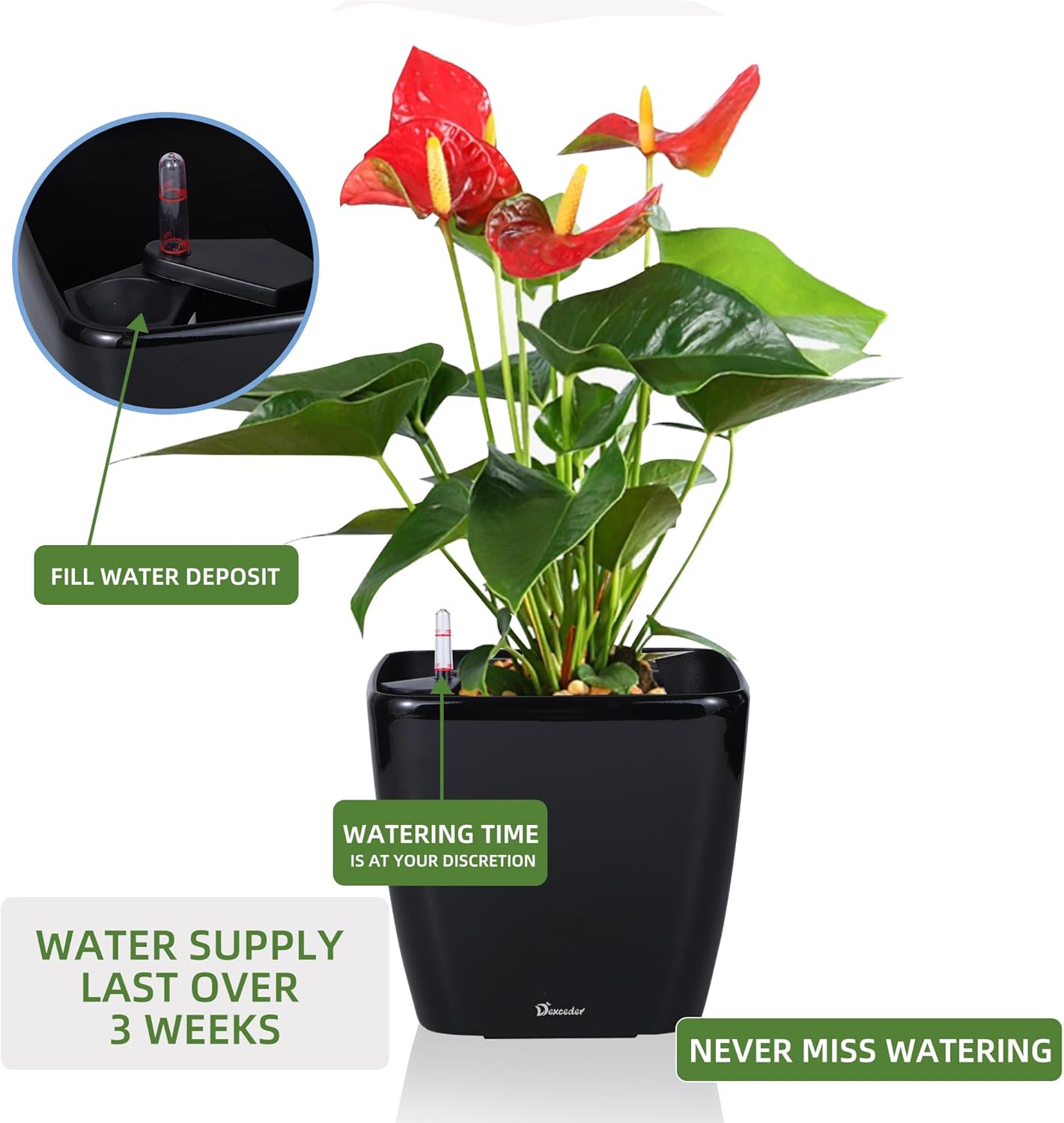 Dexceder 9x8 Self Watering Planter Indoor Outdoor, Inner Mat Design, Thickened Table Flower Plant Pot with Water Level Indicator (Black High Gloss)