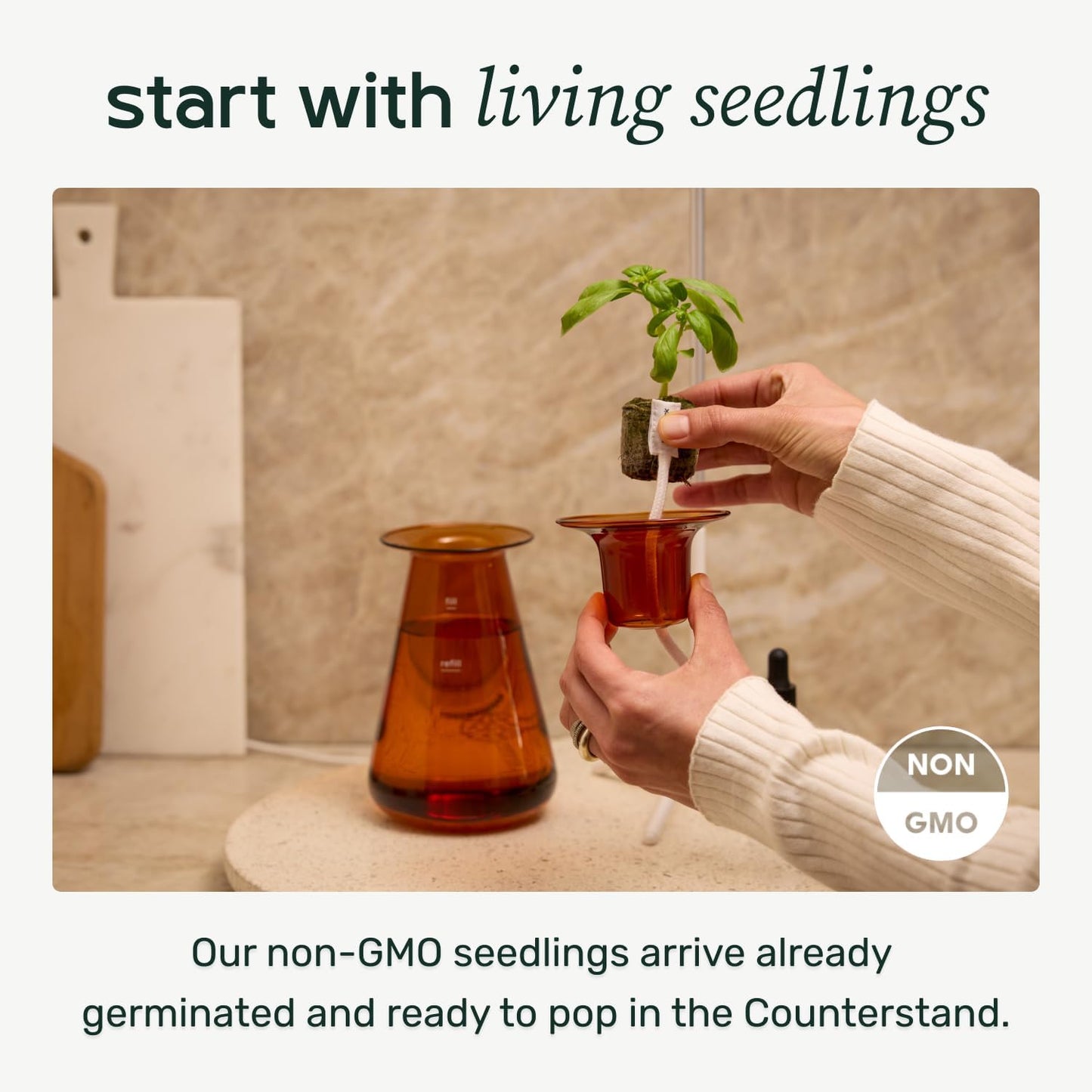 Counterstand Set – Vase Plant for Indoor Edible Garden Kit for Herbs & Lettuce – Small-Space Hydroponic System – Home Decor & Gifting – with Live Plants