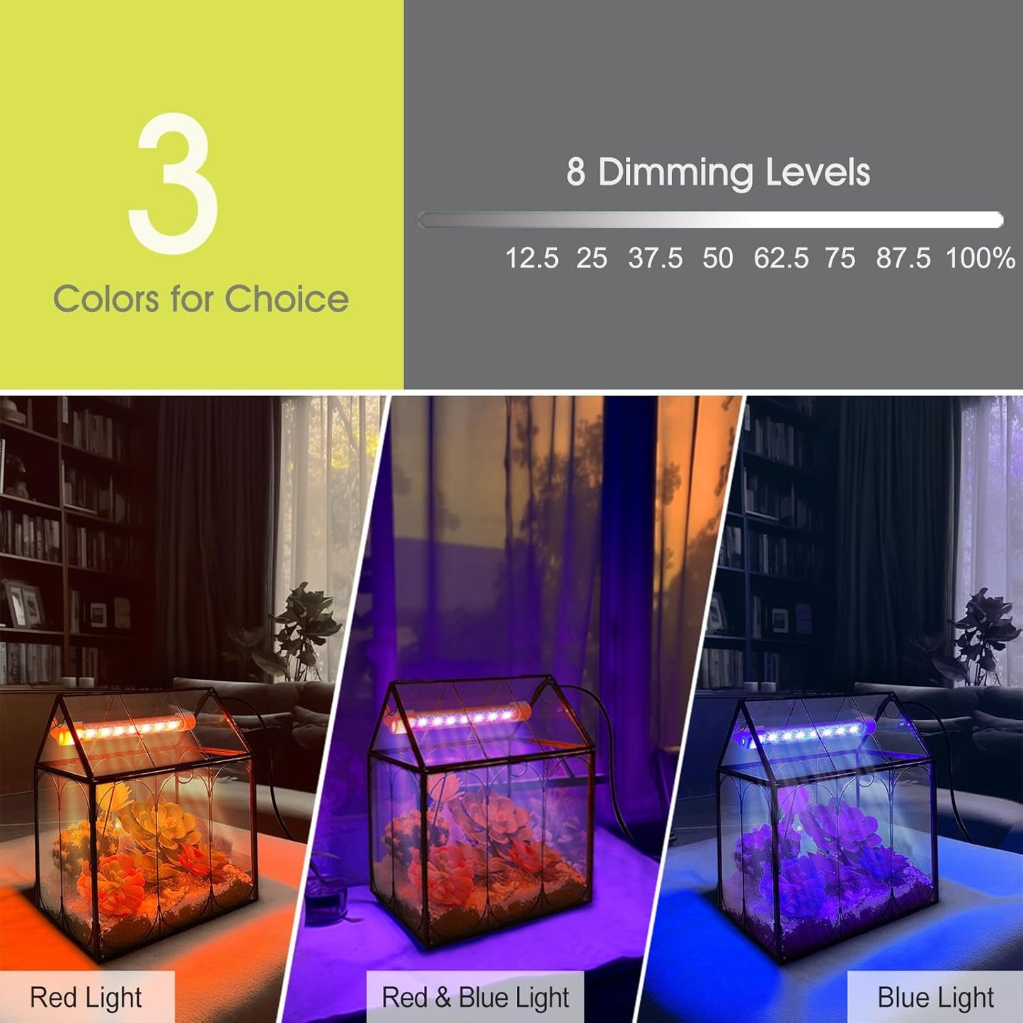 Plant Terrarium Kit with Grow Light, Rifny Small Glass Terrarium Jar with Absorbent Mat and Lid for Venus Fly Trap Succulent Live Air Plants Indoor Home Office Decor (Black, 7.1 x 4.8 x 8.8 inch)