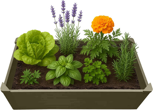 Raised Garden Bed - 2x4 ft Planter Box - Weathered Wood HDPE - No Tools Needed - DIY Kit for Urban Gardening, Flowers, Herbs & Vegetables - Made in The USA