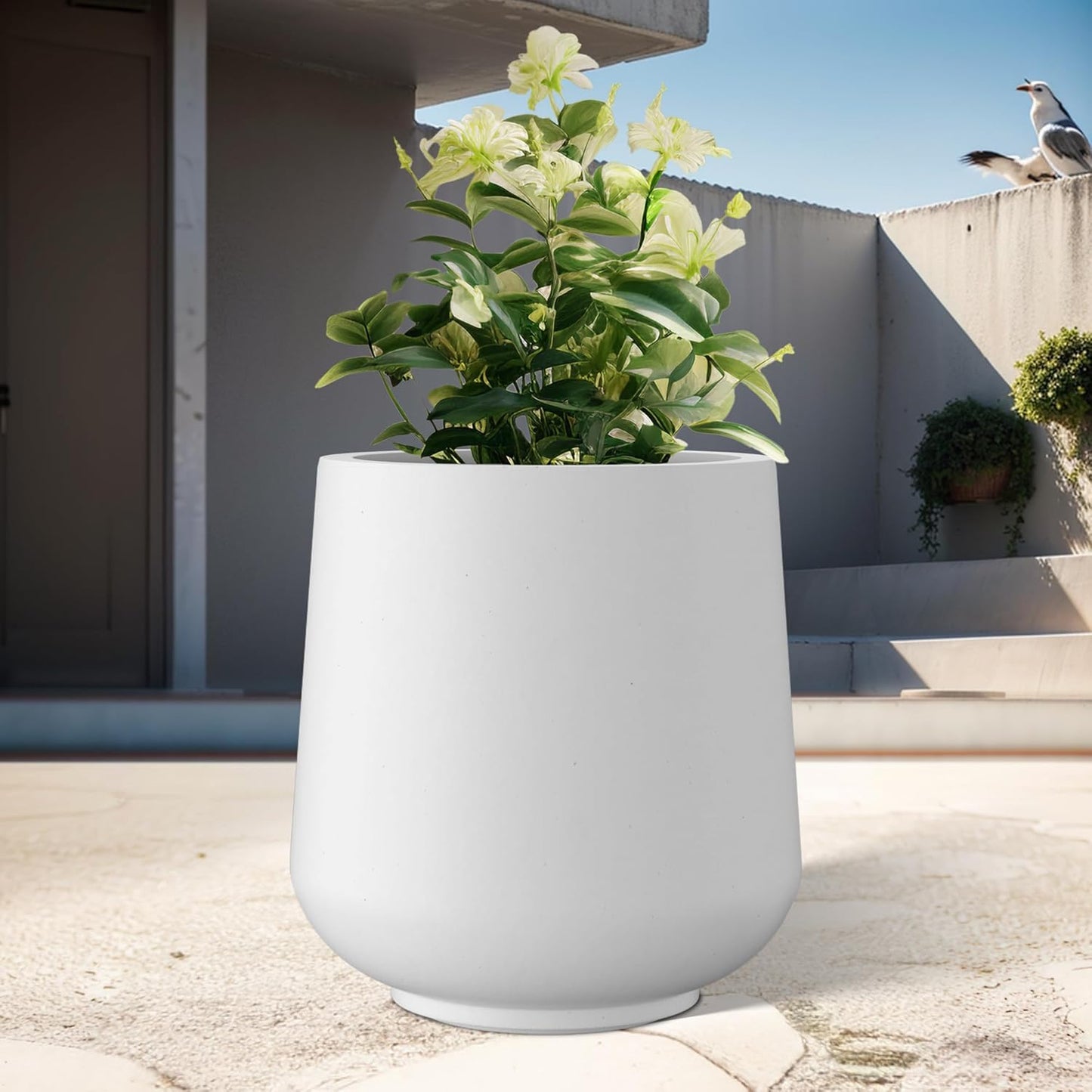 Kante 15.3" Dia Round Concrete Planter, Outdoor Indoor Large Plant Pots Containers with Drainage Hole and Rubber Plug for Home Garden Patio, Snow White