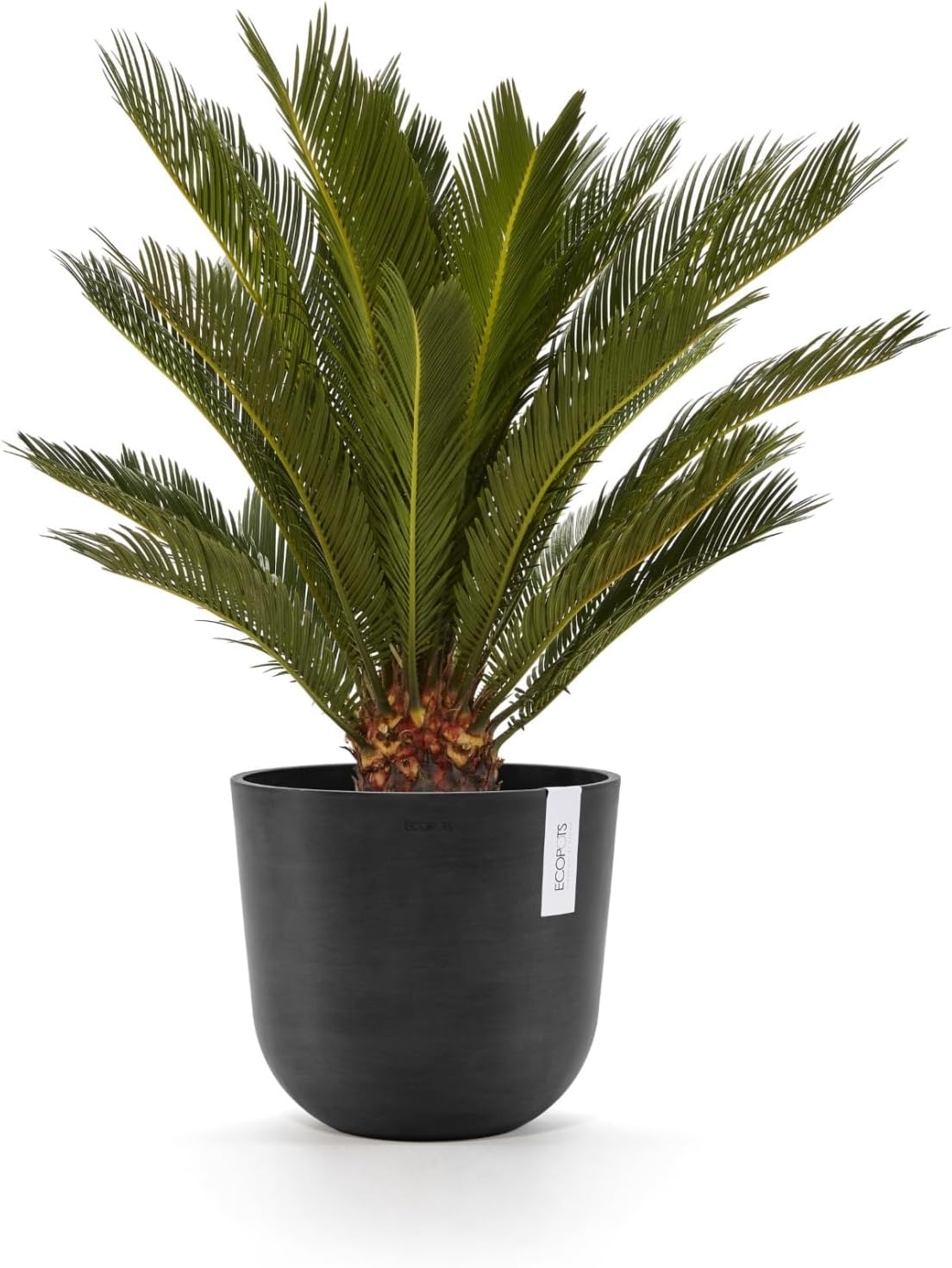 Ecopots Oslo Durable Modern Round Indoor/Outdoor Recycled-Based Composite Flower Pot Planter, Dark Grey, 10"