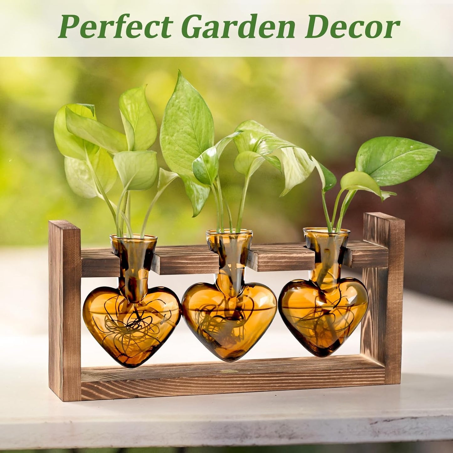 Lifecapido Heart Shaped Propagation Stations, Plant Terrarium with Wooden Stand, Plant Propagation Station for Hydroponics Plants Office Garden Home Decor, Gifts for Women Plant Lover (3 Vases, Amber)