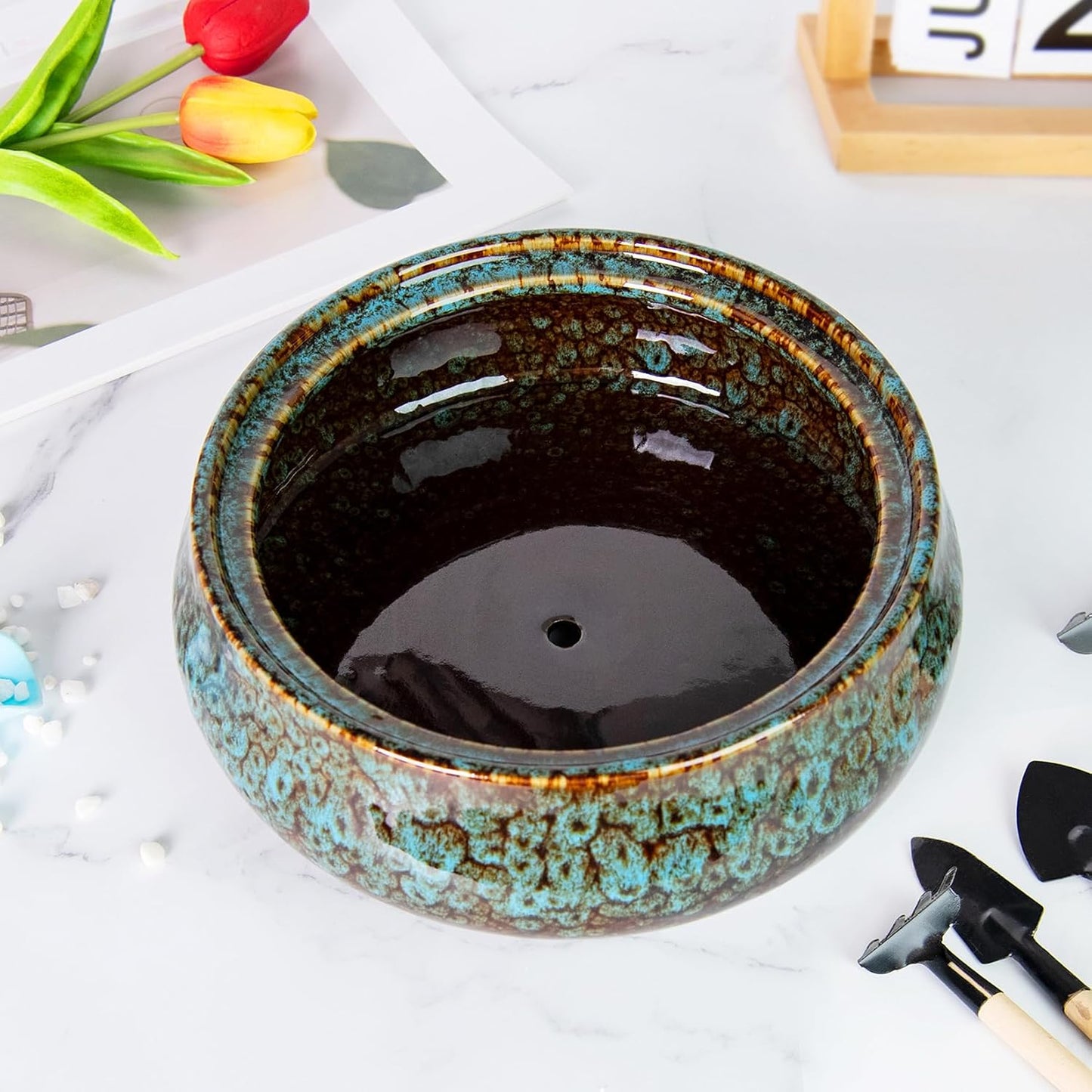 ARTKETTY Succulent Pots - 8 Inch Plant Pot, Large Bonsai Pots with Drainage, Ceramic Planters for Indoor Outdoor Plants, Round Shallow Cactus Flower Plant Container Bowl Decorative Home Garden