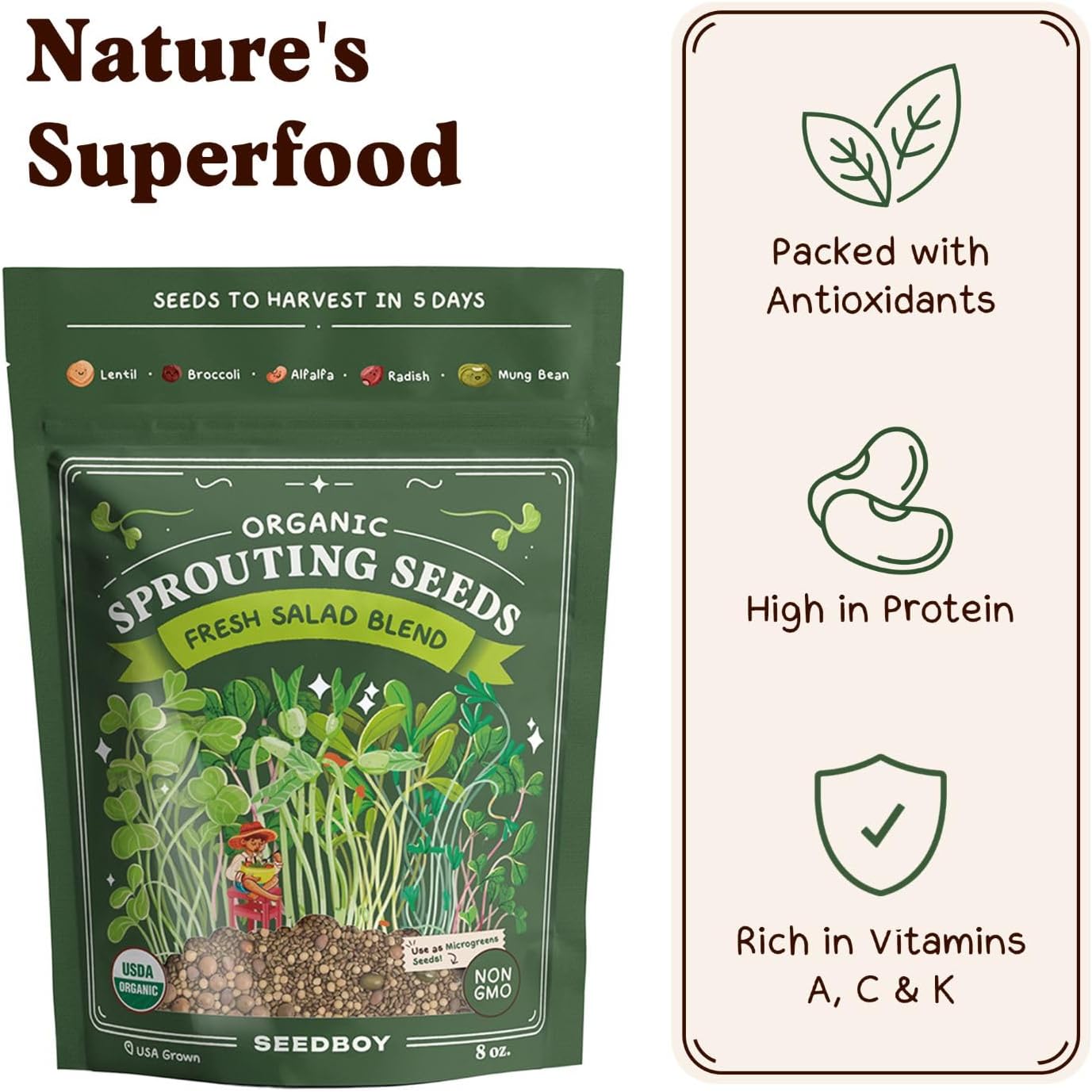 Seedboy Sprouting Kit Bundle - Sprouts Growing Kit with Jar, Lid, Stand and Organic Salad Blend Seeds (8 oz Bag, 24 Servings) - Non-GMO, USA Grown Microgreens - (Sprouting Jar/Salad Blend)