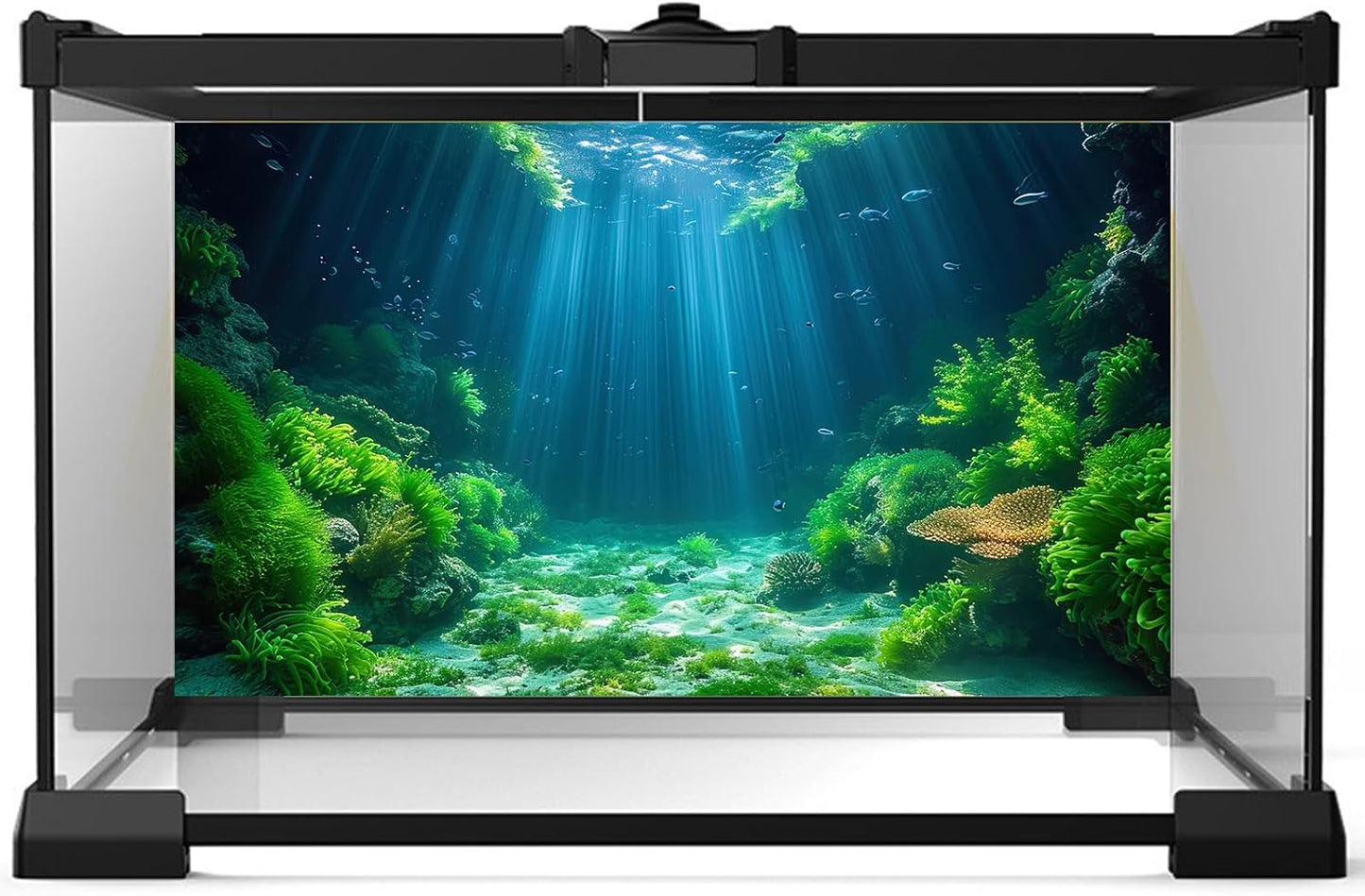 Aquarium Background Aquatic Plants Soft Algae Terrarium Backdrop Underwater World Fish Rock with Moss Sunlight Rays Fish Tank Background Aquarium Wallpaper Poster Decor Vinyl 24x12in