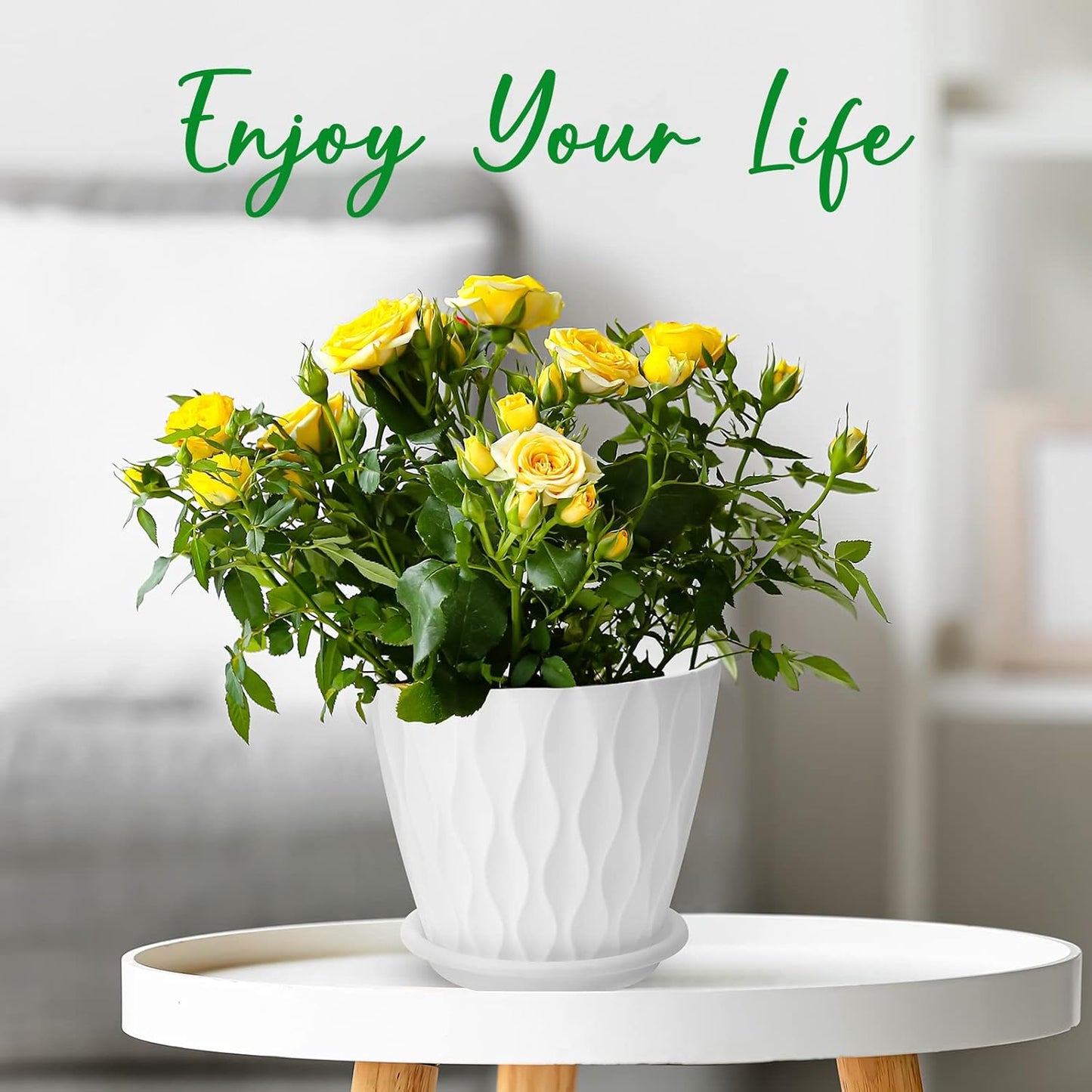 6 inch Plant Pots, 5 Pack Flower Pots Outdoor Indoor, Planters with Drainage Hole and Tray Saucer（White