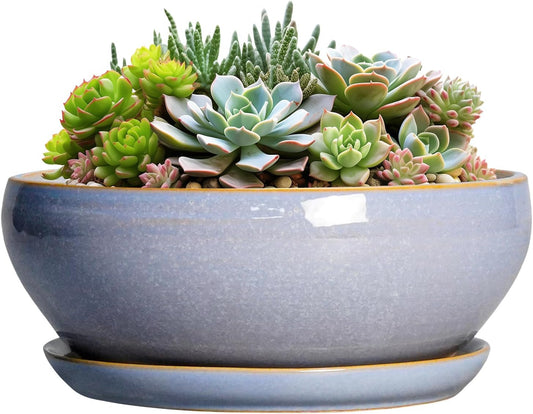 SQOWL Succulent Planters - 8 Inch Ceramic Bonsai Pots with Drainage Hole and Plant Saucer, Shallow Round Planter for Indoor Plants Flower, Bowl Planter Outdoor, Office Decor, House Warming Gift, Blue