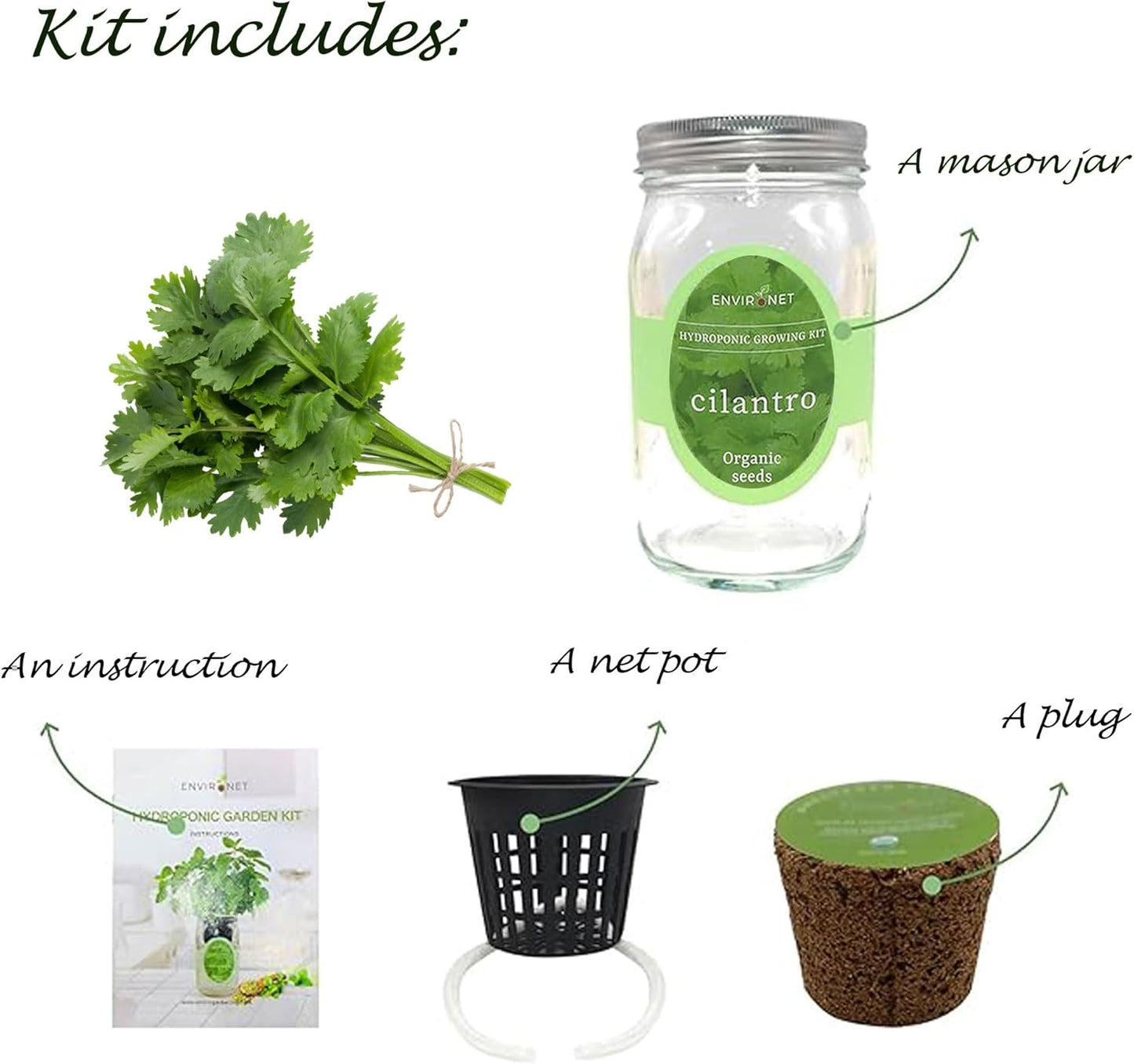 Hydroponic Herb Growing Kit, Self-Watering Mason Jar Window Herb Garden Starter Kit Indoor, Grow Your Own Herbs from Organic Seeds (Cilantro)