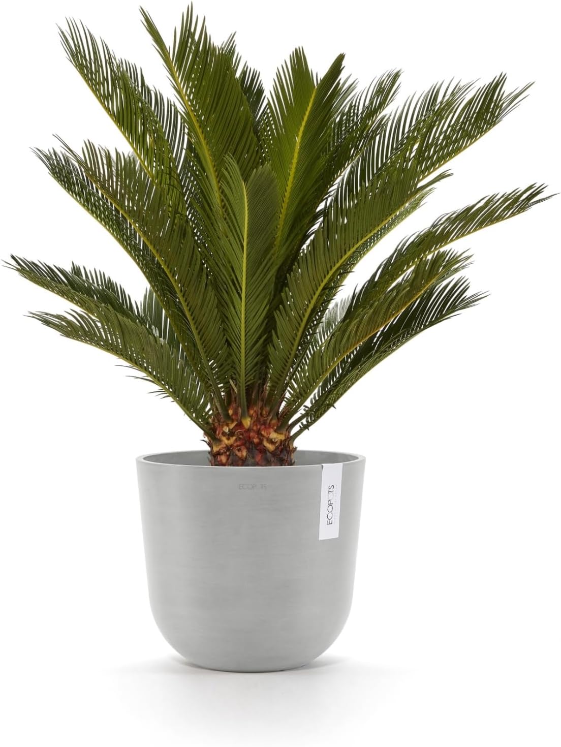 Ecopots Oslo Durable Modern Round Indoor/Outdoor Recycled-Based Composite Flower Pot Planter, White Grey, 10"