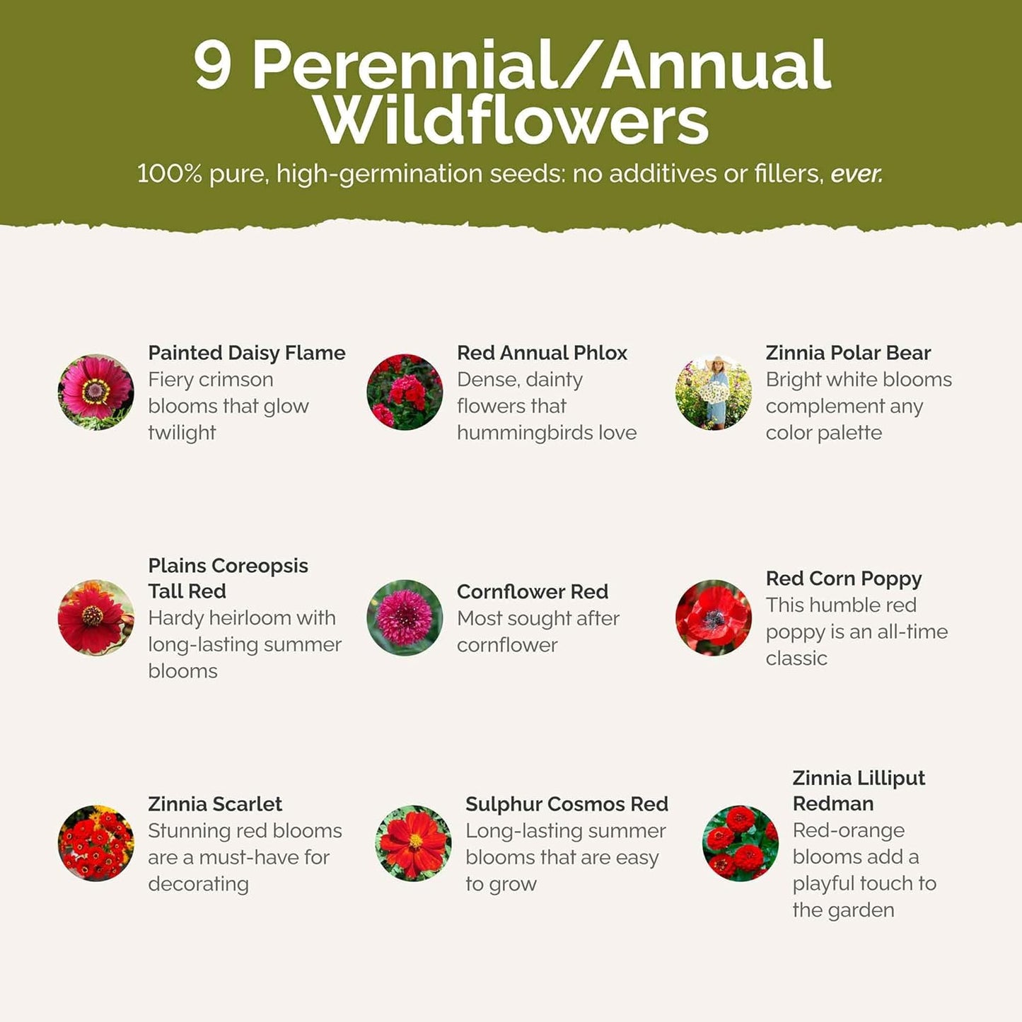 Eden Brothers Big Red Flower Mixed Seeds for Planting, 1/4 lb, 120,000+ Seeds with Painted Daisy Flame, Zinnia, Red Phlox | Attracts Pollinators, Plant in Spring or Fall, Zones 3, 4, 5, 6, 7, 8, 9, 10