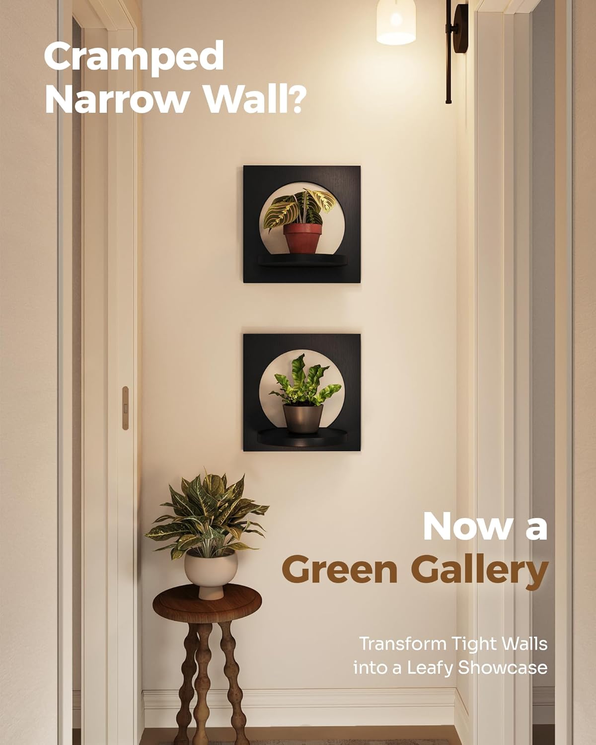 Bamworld Wall Plant Hanger Plant Wall Decor Hanging Wall Planter for Air Plants Succulents Window Plant Shelves Wood Plant Stand for Home, Hallway, Bedroom (Set of 2)