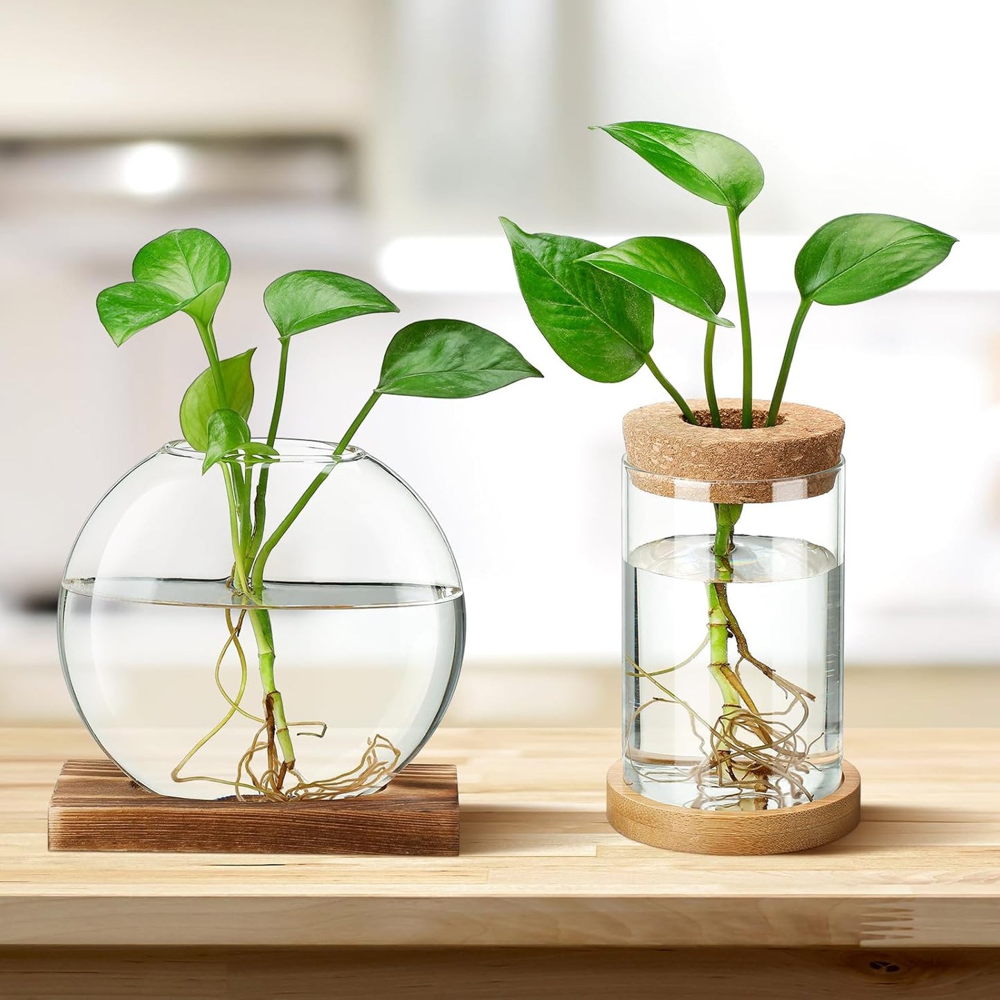 Layhit 4 Pcs Plants Propagation Stations vases Glass Planters with Wooden Lid and Bamboo Stand for Hydroponic Plants Gardening Gifts for Women Mom Home Office Tabletop Decoration(Novelty Style)