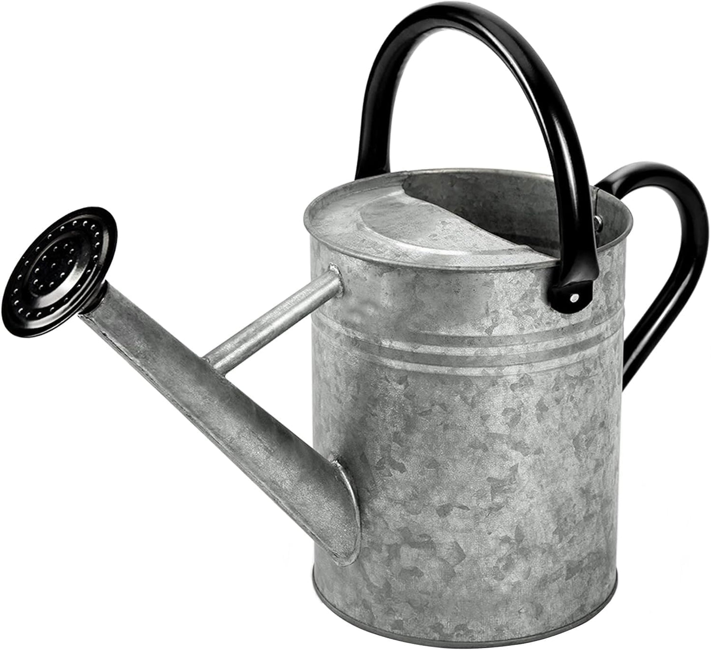 Metal Watering Can, One Gallon Watering Cans Stainless Steel for Outdoor Indoor Garden Plants Watering (Silver 1 Gallon)