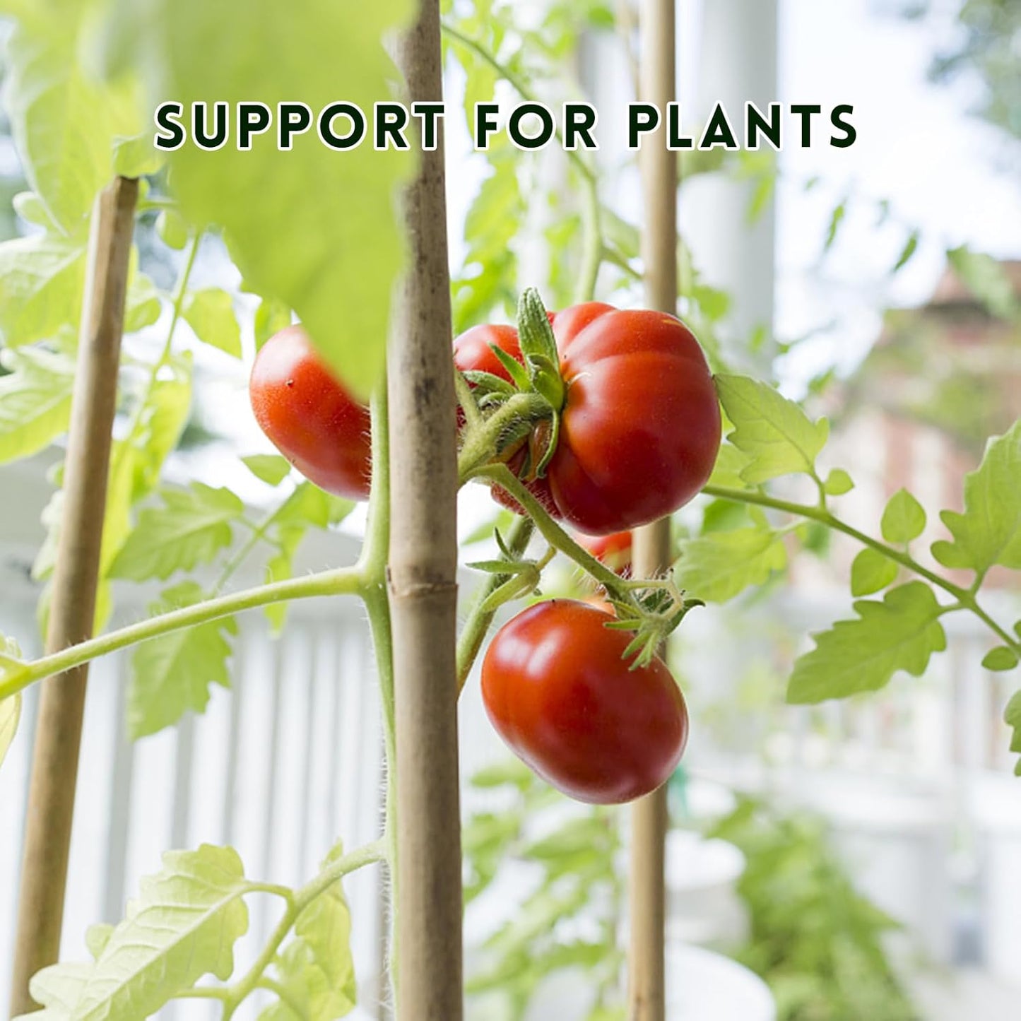 [32 Pcs] Garden Stakes, 18 Inches Natural Bamboo Plant Stakes, Plant Support Stakes with Twist Ties, Bamboo Sticks for Tomatoes, Beans, Flowers, Potted Plants, Indoor and Outdoor Climbing Plants