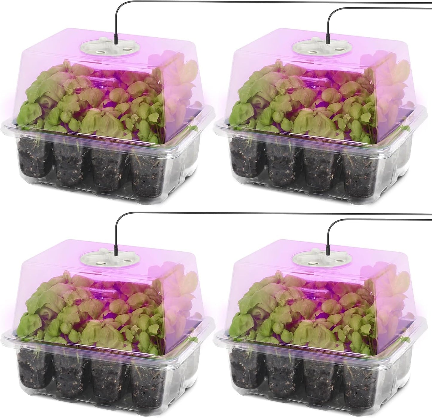 MIXC Seed Starter Kit with Grow Light, Elevated Seedling Tray Kit with Adjustable Humidity Dome and Clear Cell Tray, 12 Full Spectrum Led Beads for Seed Starting Greenhouse, 4 Pack, Transparent