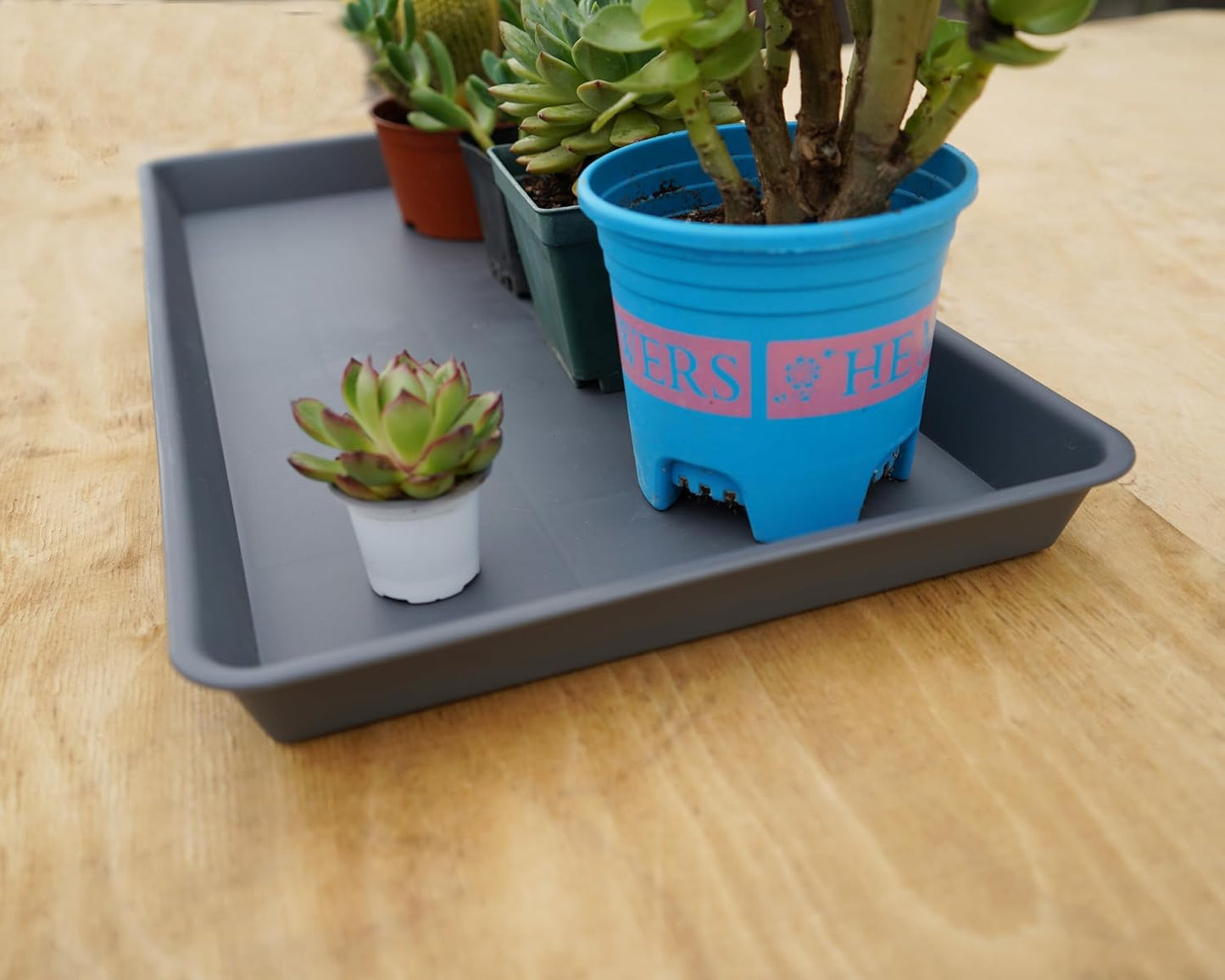 Plant Saucer Growing Tray, Seed Starter Tray Rectangular, Heavy Sturdy Plastic Plant Saucers Drainage Trays, Plant Drip Trays for Pots, Seed Starter Growing Tray (11 x 9 inch, 1 Pack)