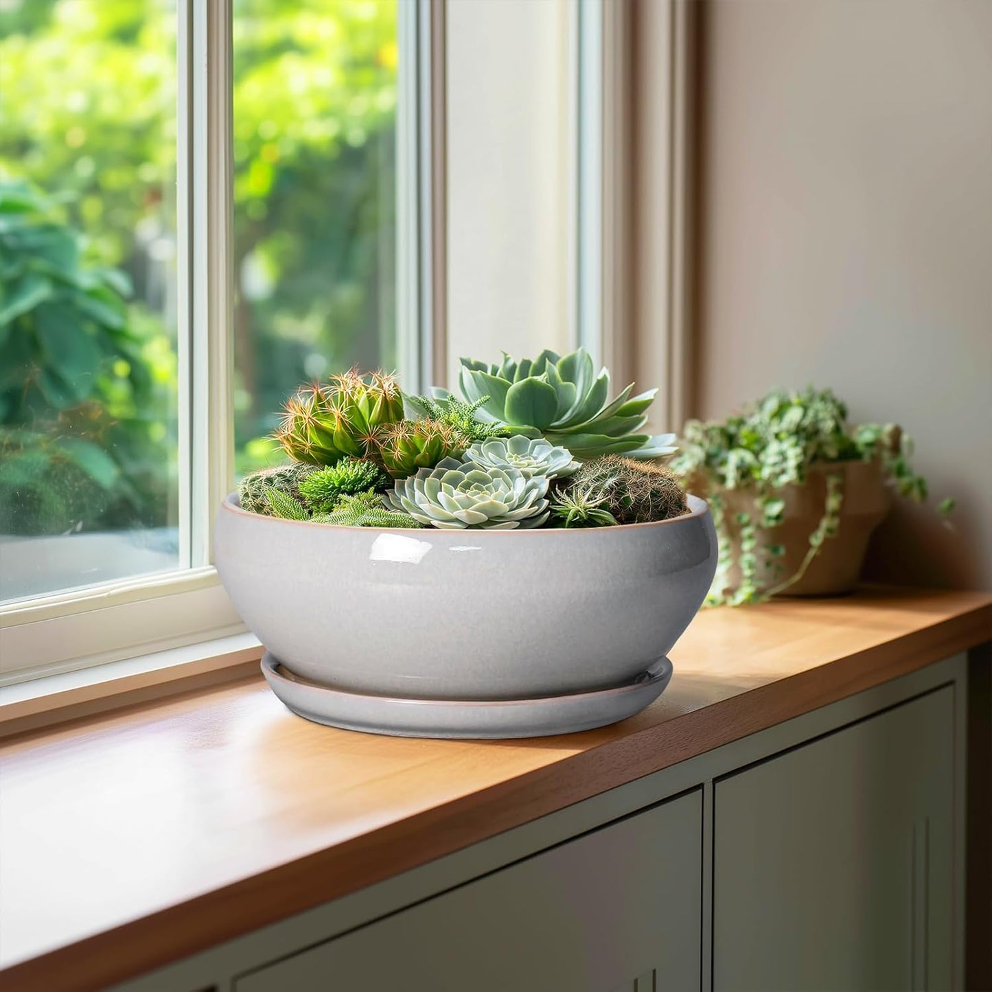 SQOWL Bonsai Pots - 10 Inch Ceramic Succulent Pots with Drainage Hole and Saucer, Large Shallow Indoor Planter, Bowl Round Planter Outdoor, Living Room Decor, Plant Lover Gifts, Gray