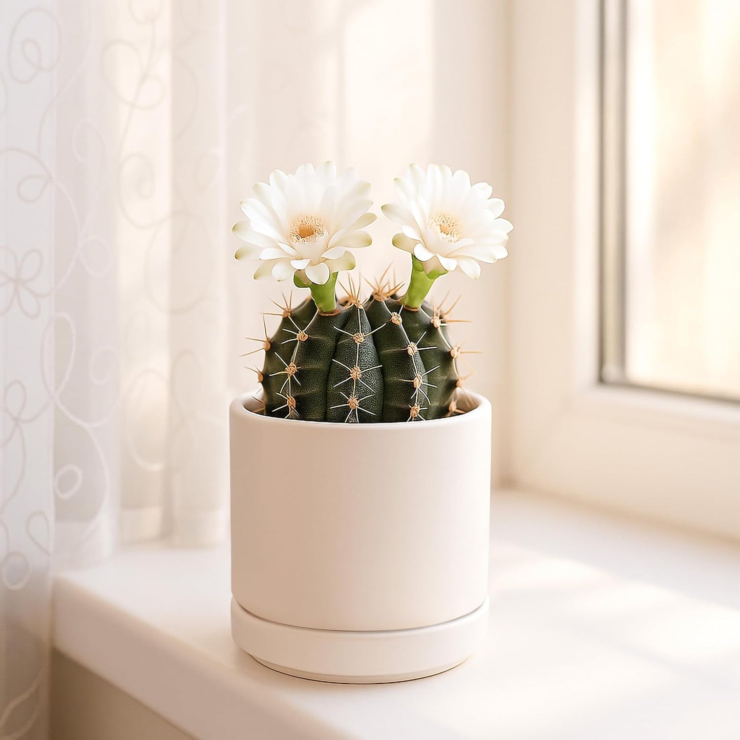 D'vine Dev 3.5 Inch Ceramic Planter Pot with Drainage Hole and Saucer, Indoor Cylinder Round Planter Pot, Oatmeal, 94-O-A-8