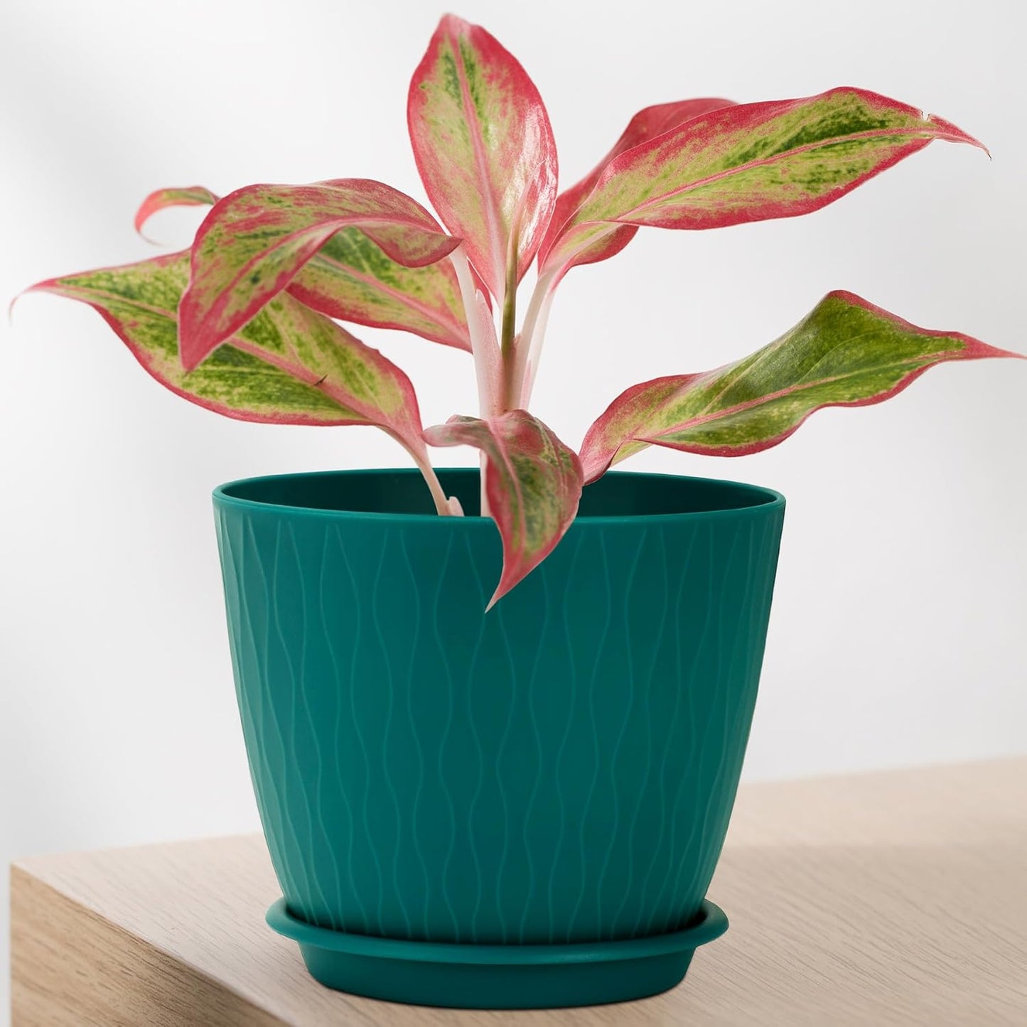 Plant Pots – 6 Inch Planters with Drainage Holes and Saucers, Flower Pots for Indoor and Outdoor Plants, Nursery Planting Pots (Pack of 5, Teal)