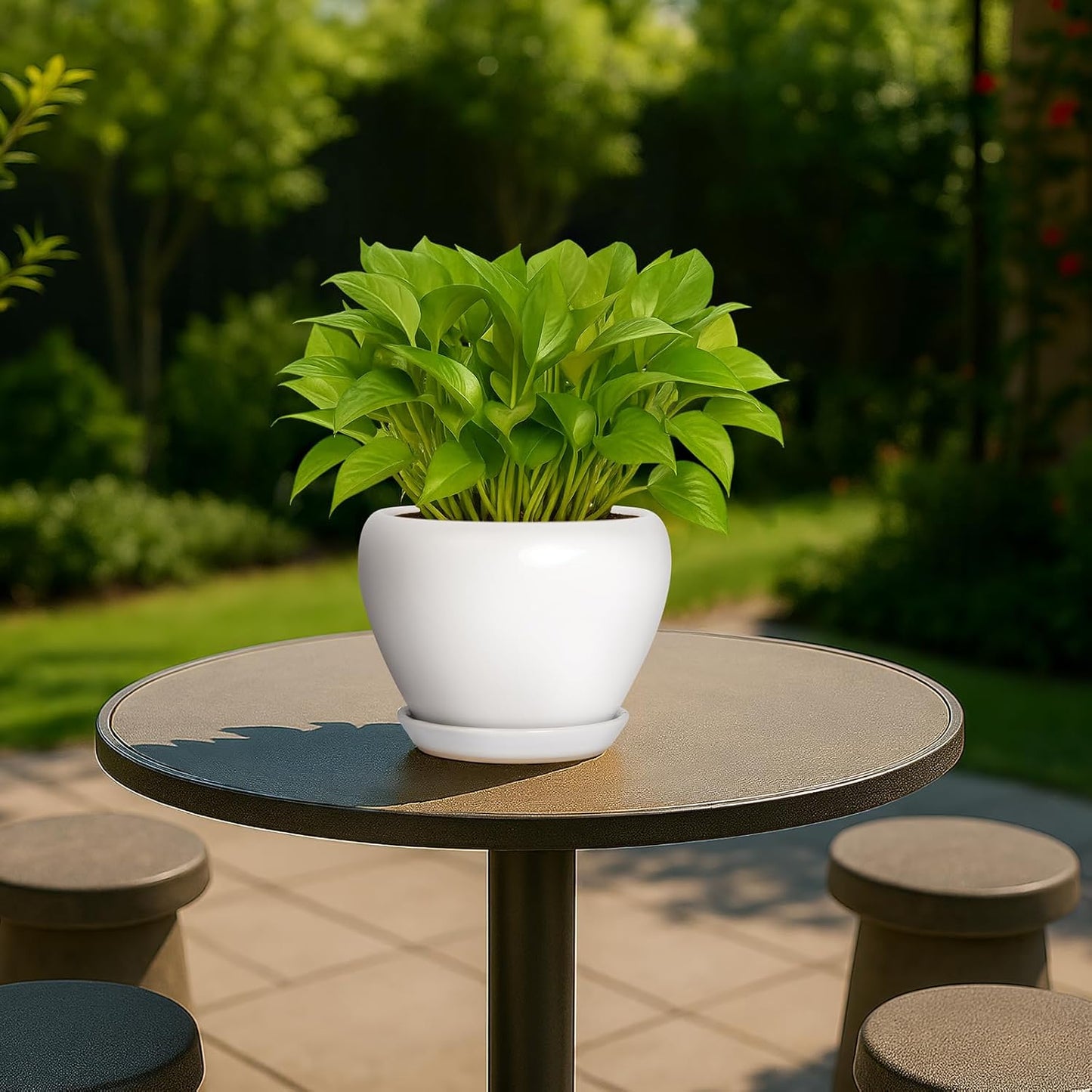 Deep Dream 6 Inch Plant Pot - Ceramic Planter with Drainage Hole and Trays, Modern Round Flower Pot, Planters for Indoor Outdoor Plants, Home Garden Decor, White