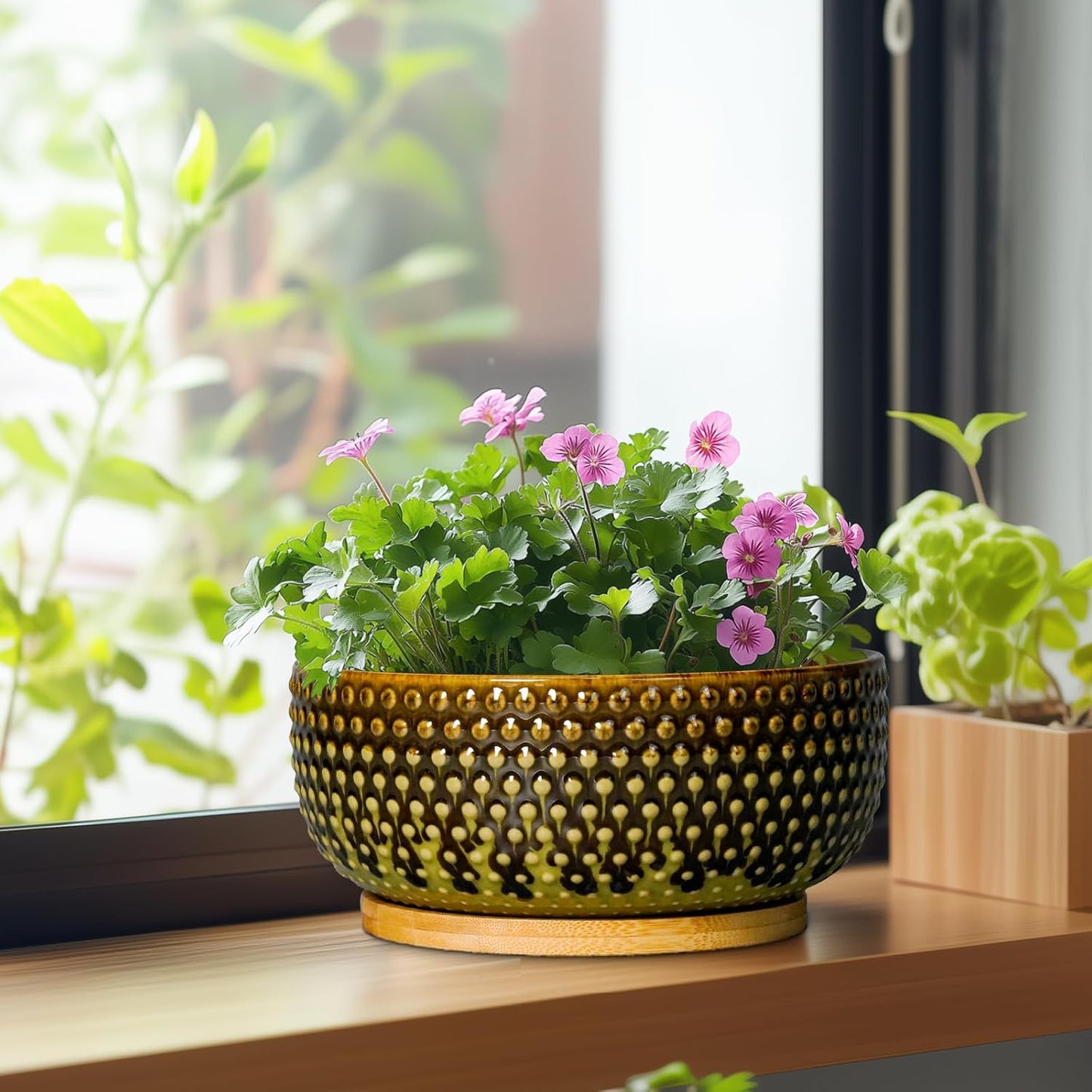 Bonsai Pots 8 Inch - Ceramic Planter for Indoor Plants, Succulent Pots with Drainage Hole and Plant Tray, Modern Round Decorative Flower Planters, Home Decor, Brown & Green