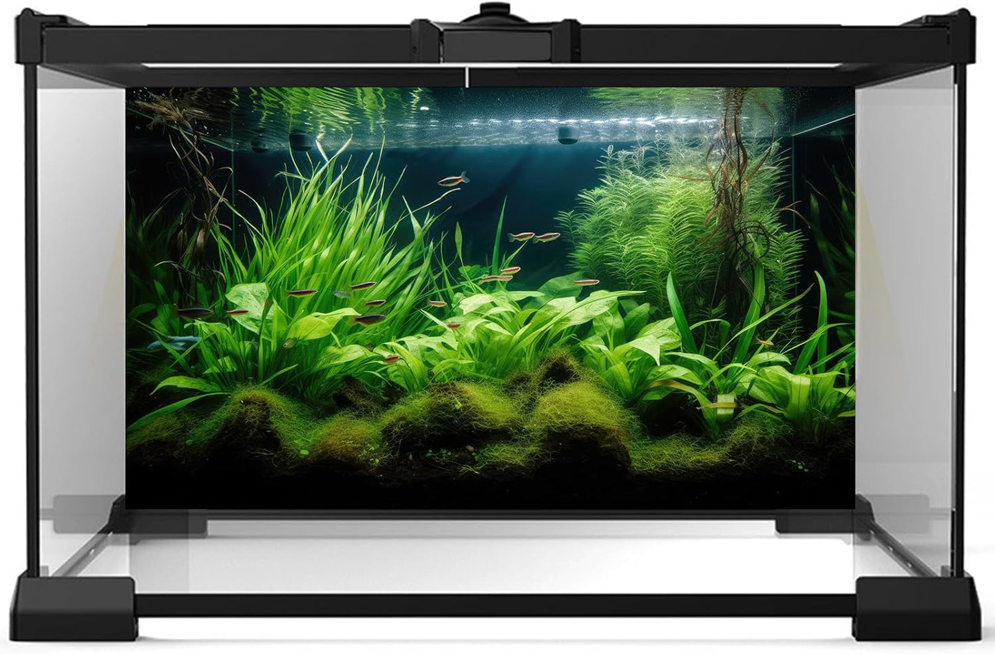Aquarium Background Diverse Aquatic Plants Seagrasses Terrarium Background Redwood Root Lush Green Underwater Plants Tropical Style Fish Tank Background Under The Sea Aquarium Backdrop Vinyl 72x24in