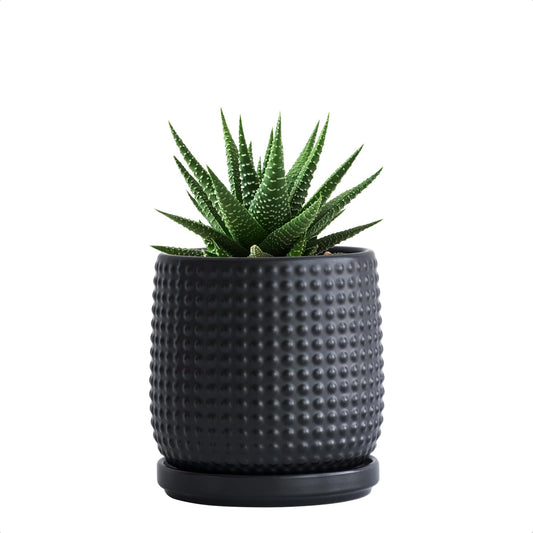 D'vine Dev 4 Inch Ceramic Beaded Stoneware Planter Pot - Flower Pot with Drainage Holes and Saucers for Indoor Succulent Plants or Flowers, Ebony Matte, 27-C-Z-6