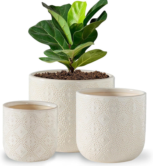 Docrin Ceramic Plant Pots Indoor：6.5+5.3+4 Inch Planters with Drainage Holes for Home /Office - Set of 3 / White