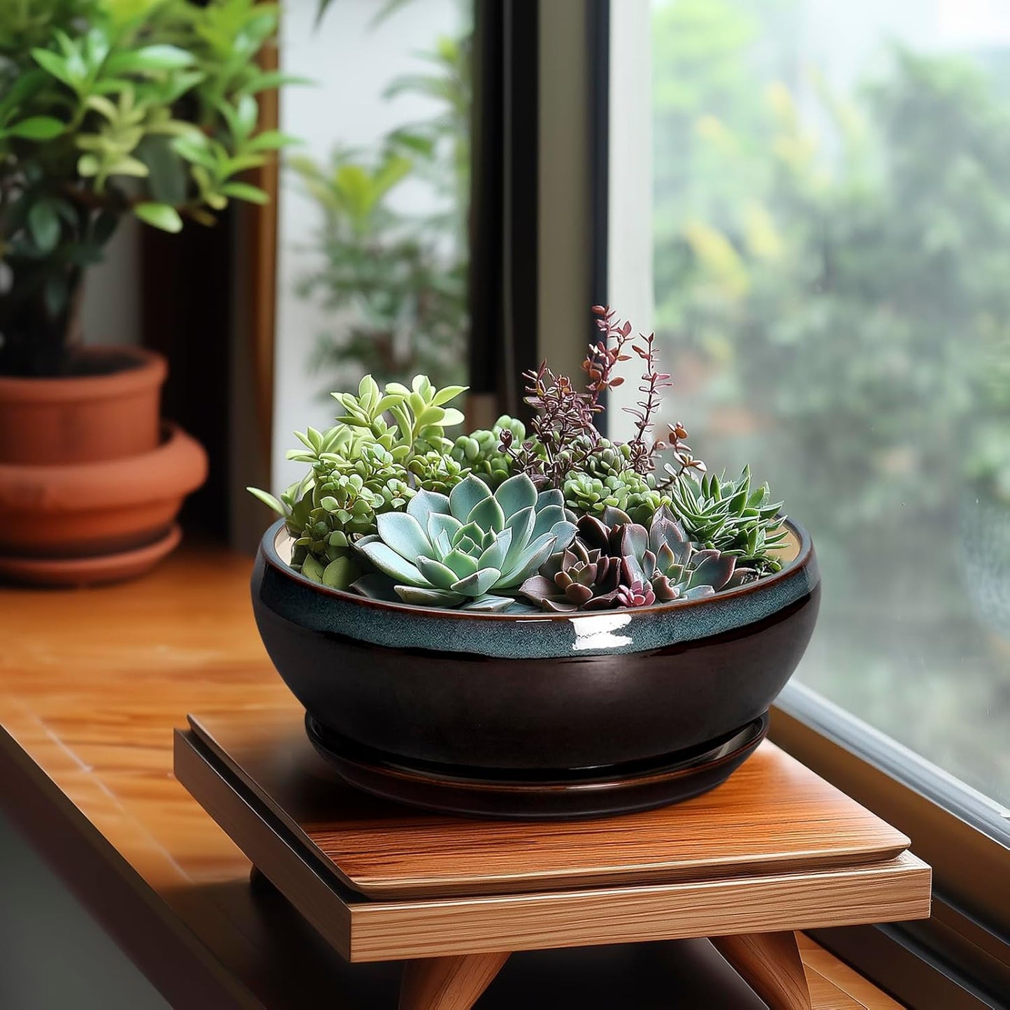 SQOWL Succulent Planters 8 Inch - Ceramic Bonsai Pots with Drainage Hole and Ceramic Saucer, Round Shallow Planter for Indoor Plant, Bowl Planter Outdoor, Desk Decor, Gift for Plant Lover, Blue-Brown